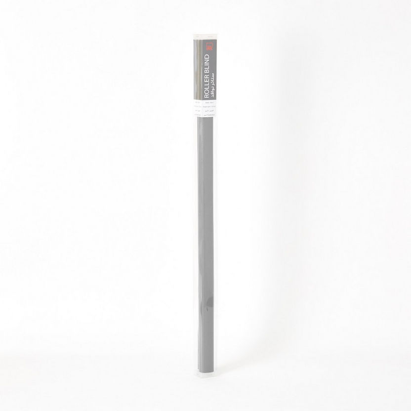 Martin Translucent Roller Blind - 90x210 cm-Blinds-image-4