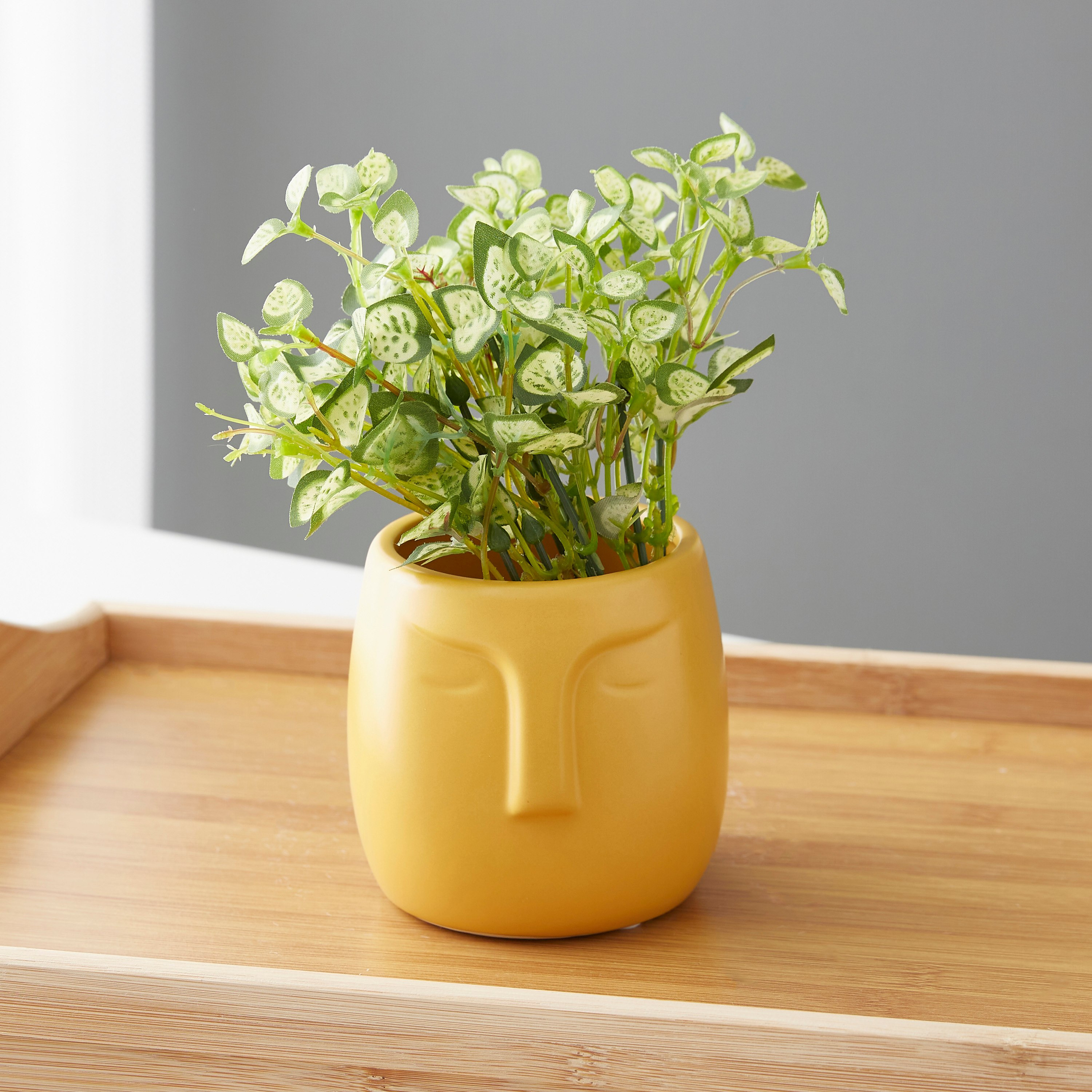 مزهرية سيراميك بتصميم وجه من سانسا - 10.5x10.5x11 سم-hbxbedroom-decorandaccessories-vases-image-1
