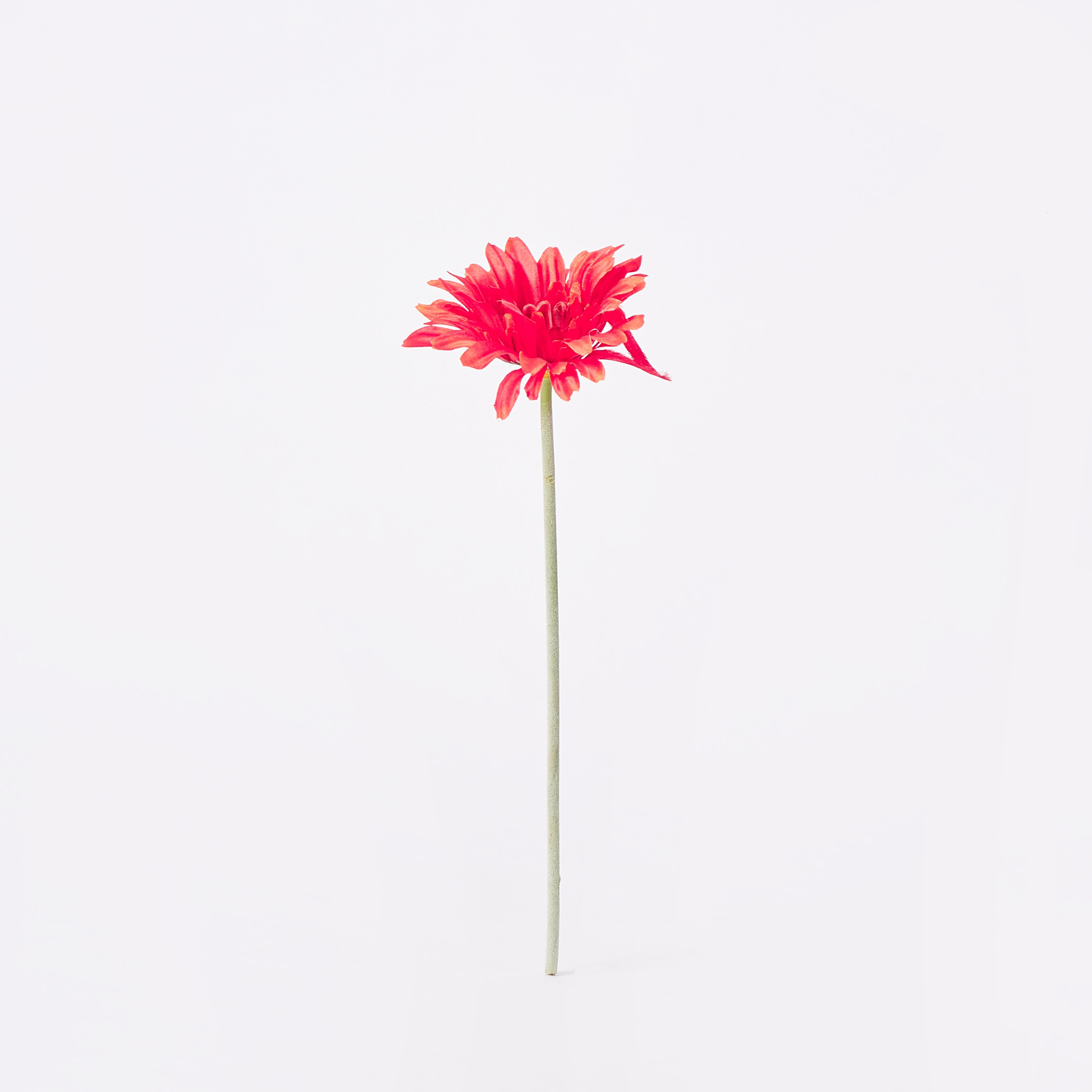زهرة جيربرا للزينة من ليدا - 33 سم-hbxdecorandfurnishings-homeaccessories-artificialflowersandplants-image-4