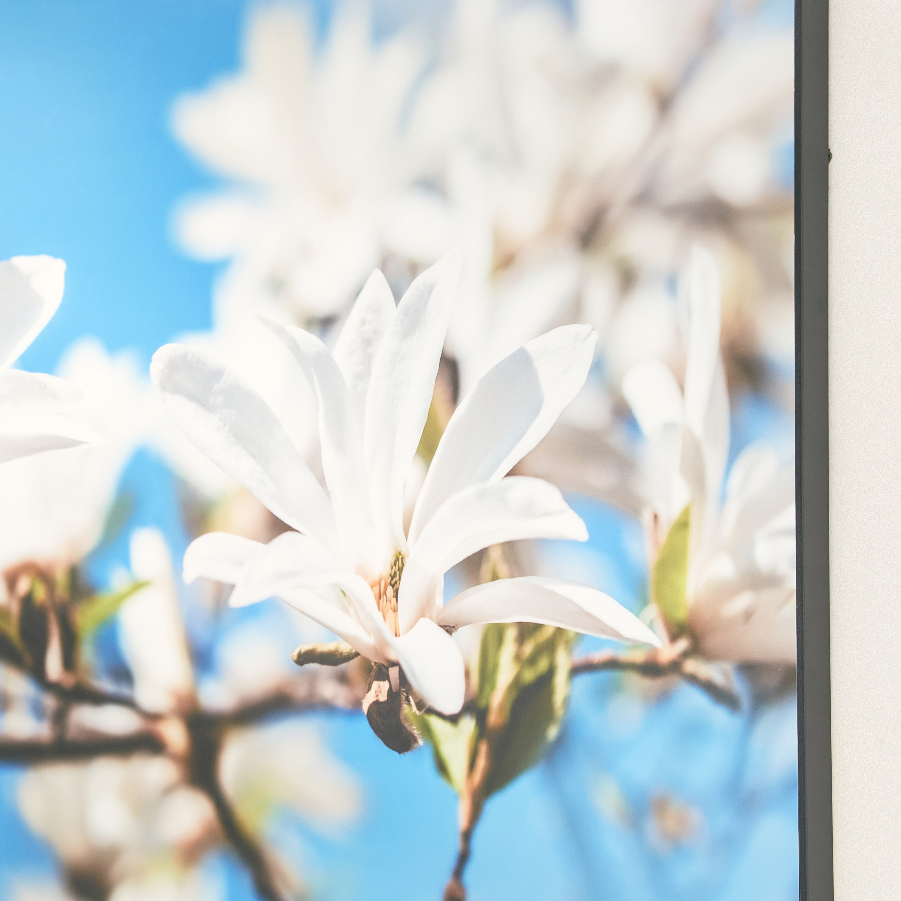 Leonor Glossy White Flower Framed Picture - 70x3x50 cm-hbxhomeware-hbxdecorandfurnishings-image-3