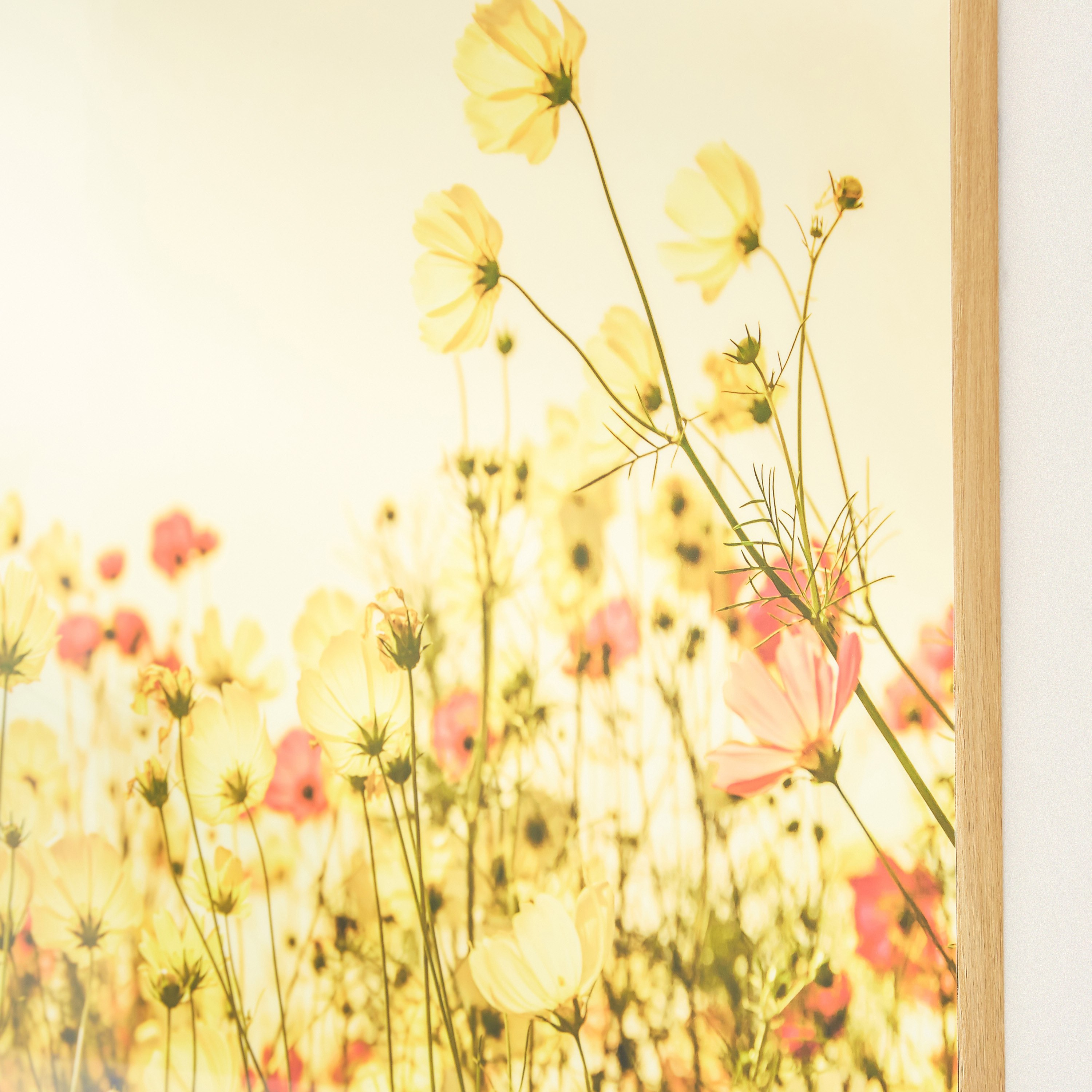 لوحة مؤطّرة لامعة من ليونور - 70x3x50 سم-PROMO_HB_AE_B1G1_250925-image-3