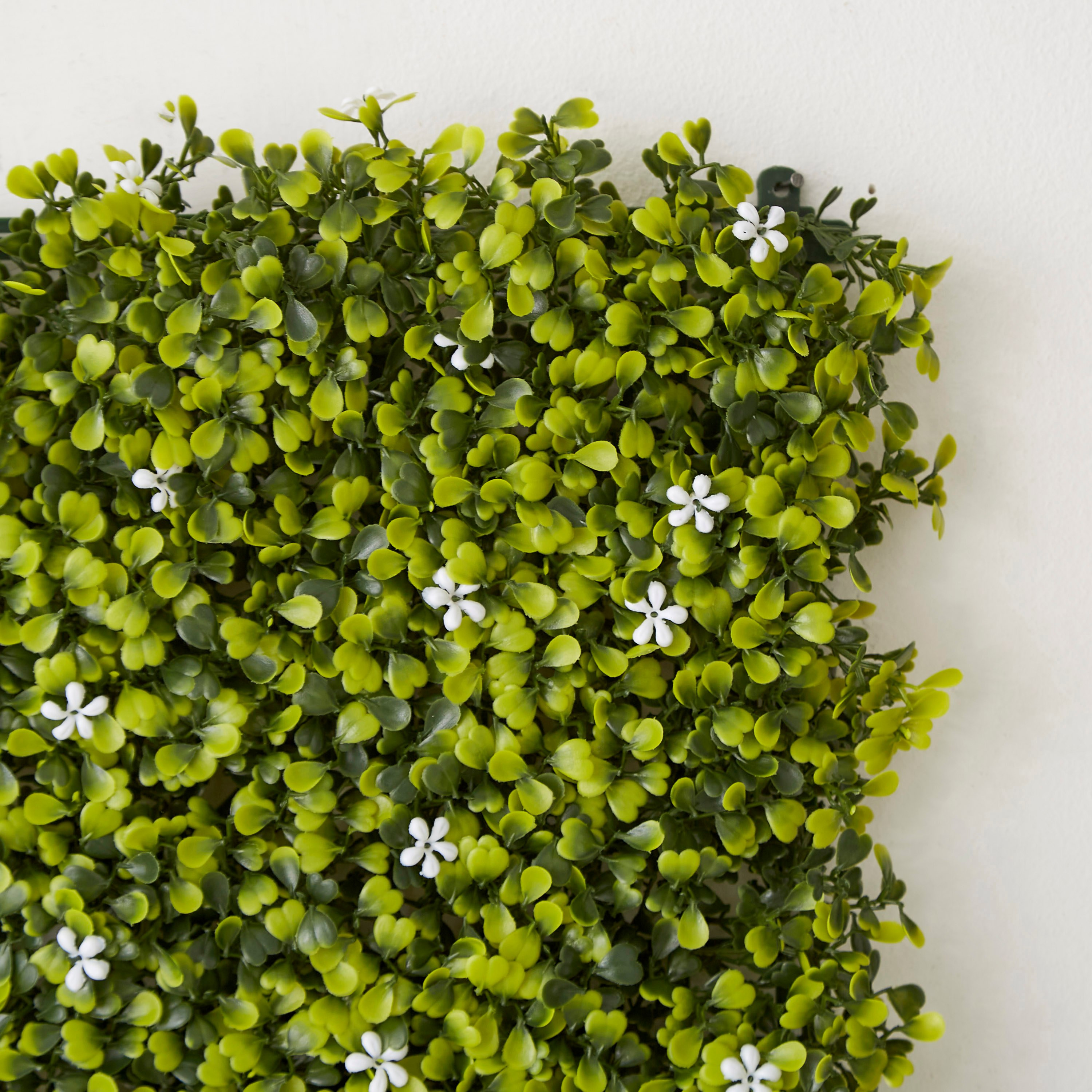 لوح نبات خشبي صناعي من الياسمين - ميدوو 50x50 سم-hbxdecorandfurnishings-homeaccessories-artificialflowersandplants-image-3