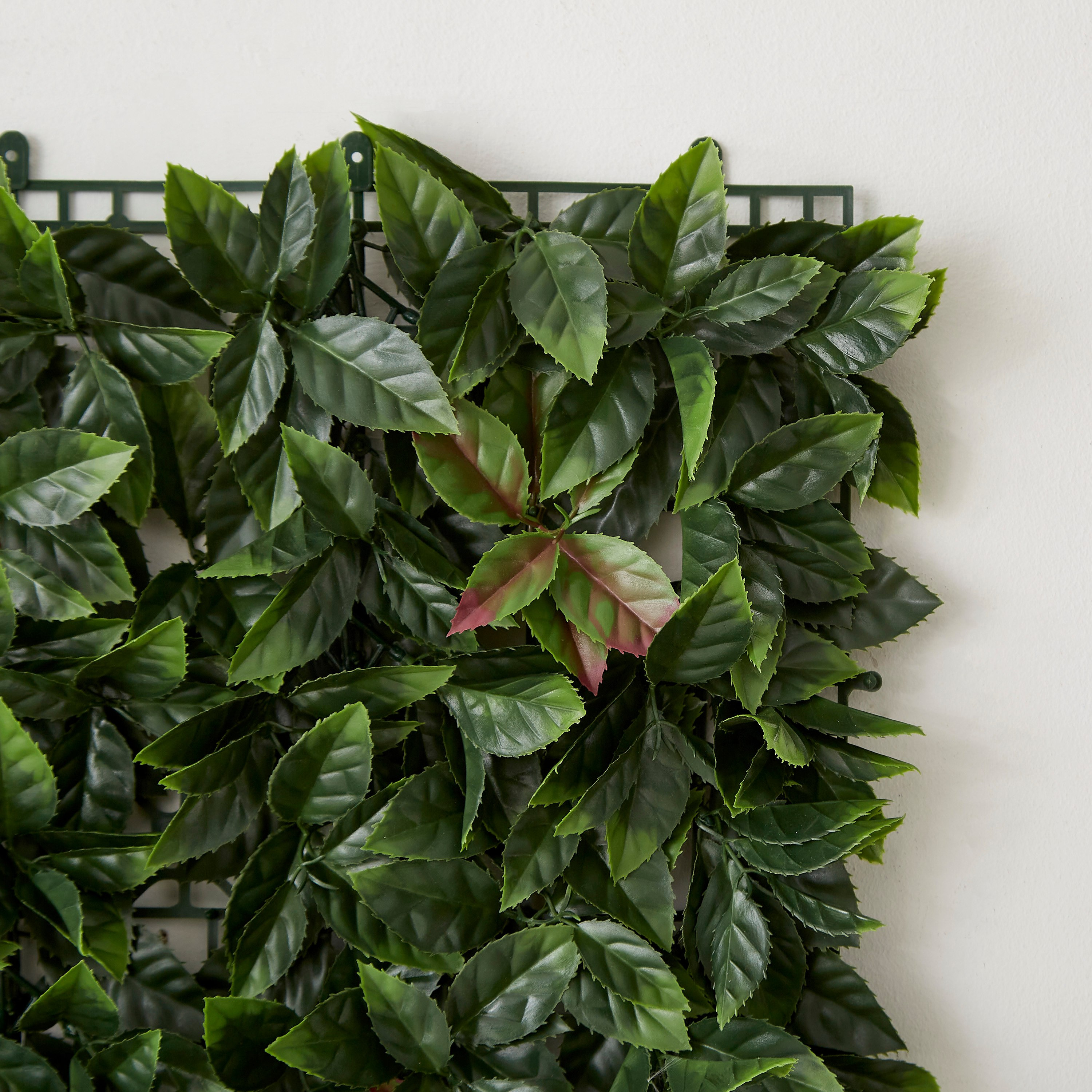 لوح فوتينيا صناعي من ميدوو - 50 × 50 سم-hbxdecorandfurnishings-homeaccessories-artificialflowersandplants-image-3