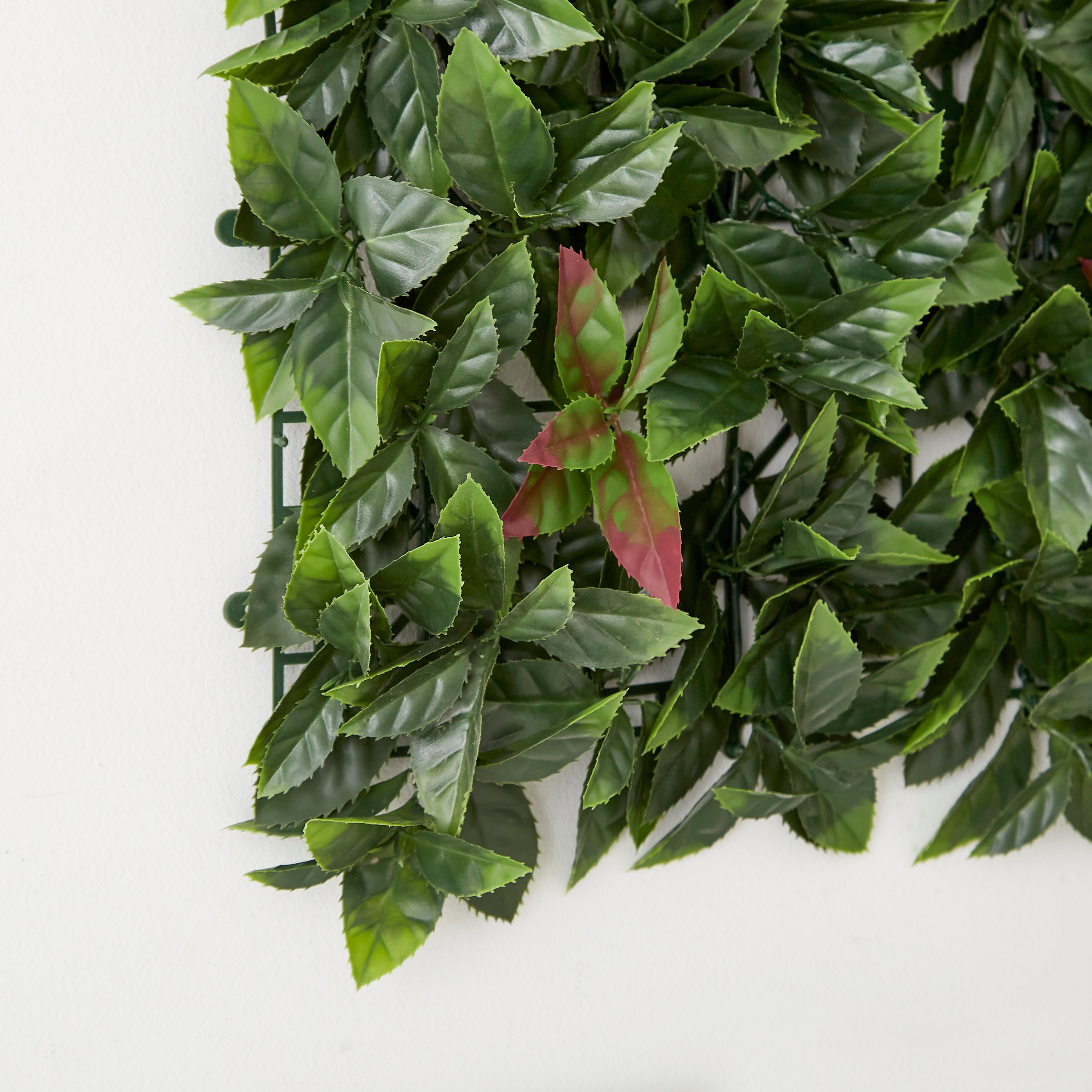 لوح فوتينيا صناعي من ميدوو - 50 × 50 سم-hbxdecorandfurnishings-homeaccessories-artificialflowersandplants-image-4