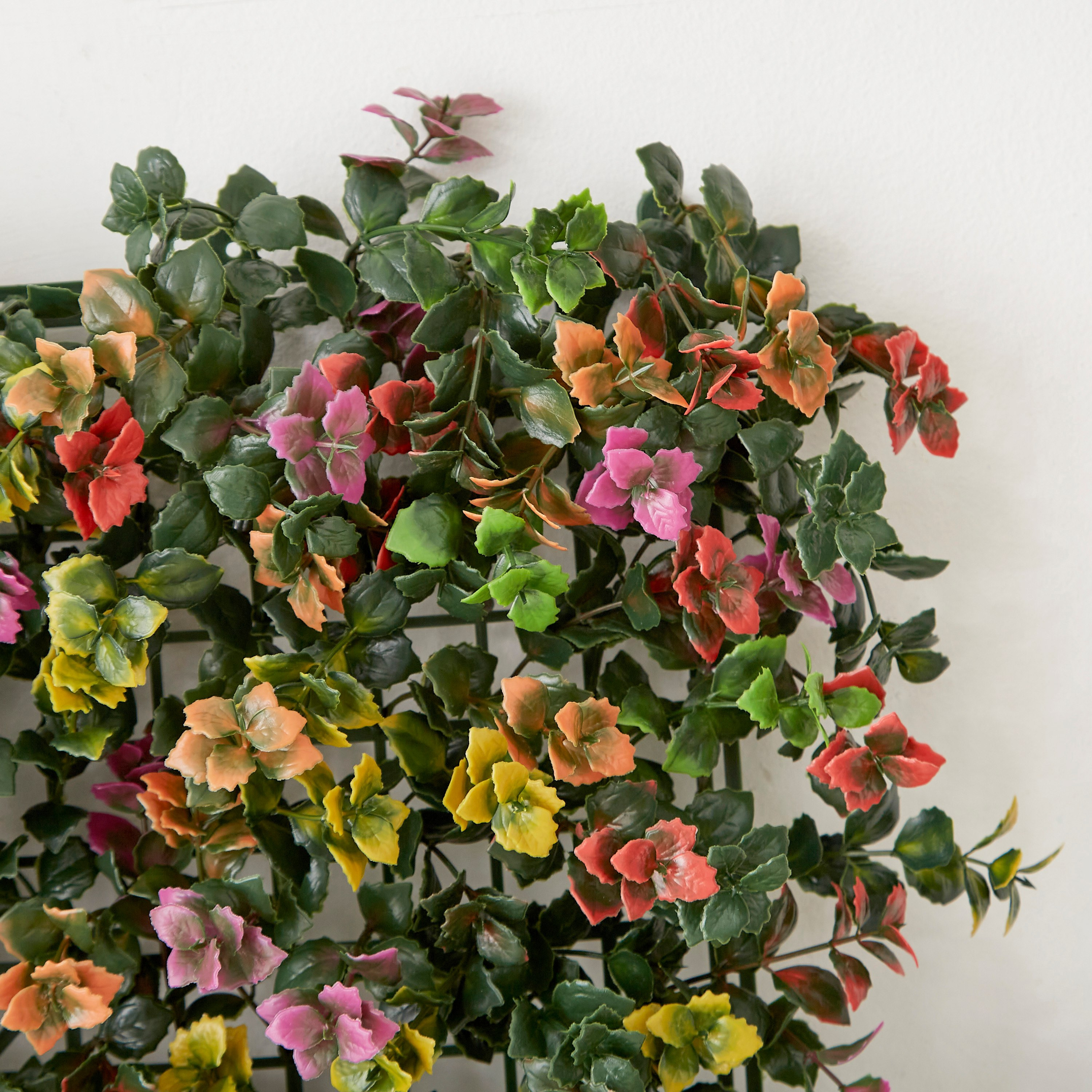 لوح باتشيساندرا صناعي من ميدو- 50 × 50 سم-hbxdecorandfurnishings-homeaccessories-artificialflowersandplants-image-3