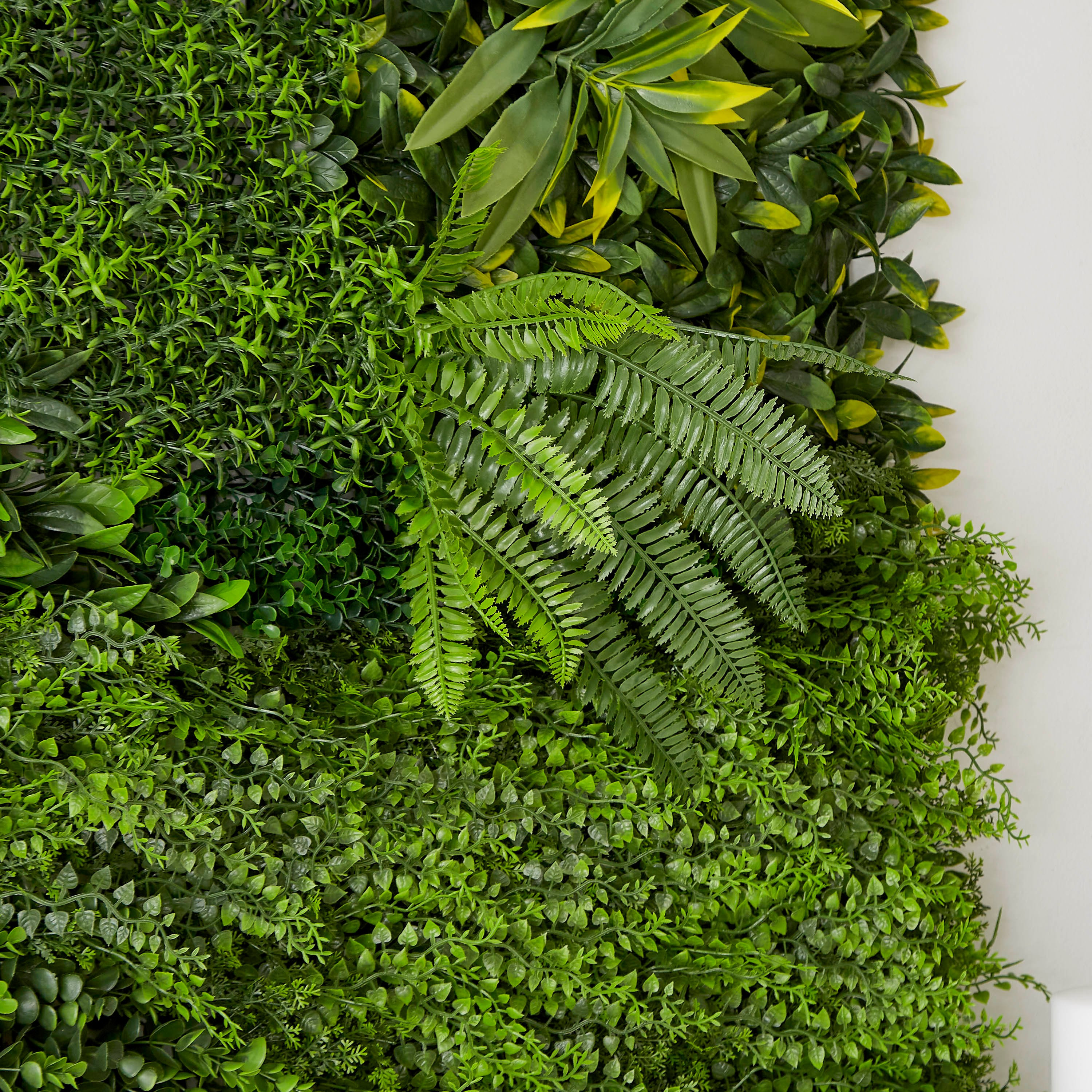 لوح نبات صناعي بيوتي سيكريت فاخر عالي التحمل - 100 × 100 سم-hbxdecorandfurnishings-homeaccessories-artificialflowersandplants-image-3