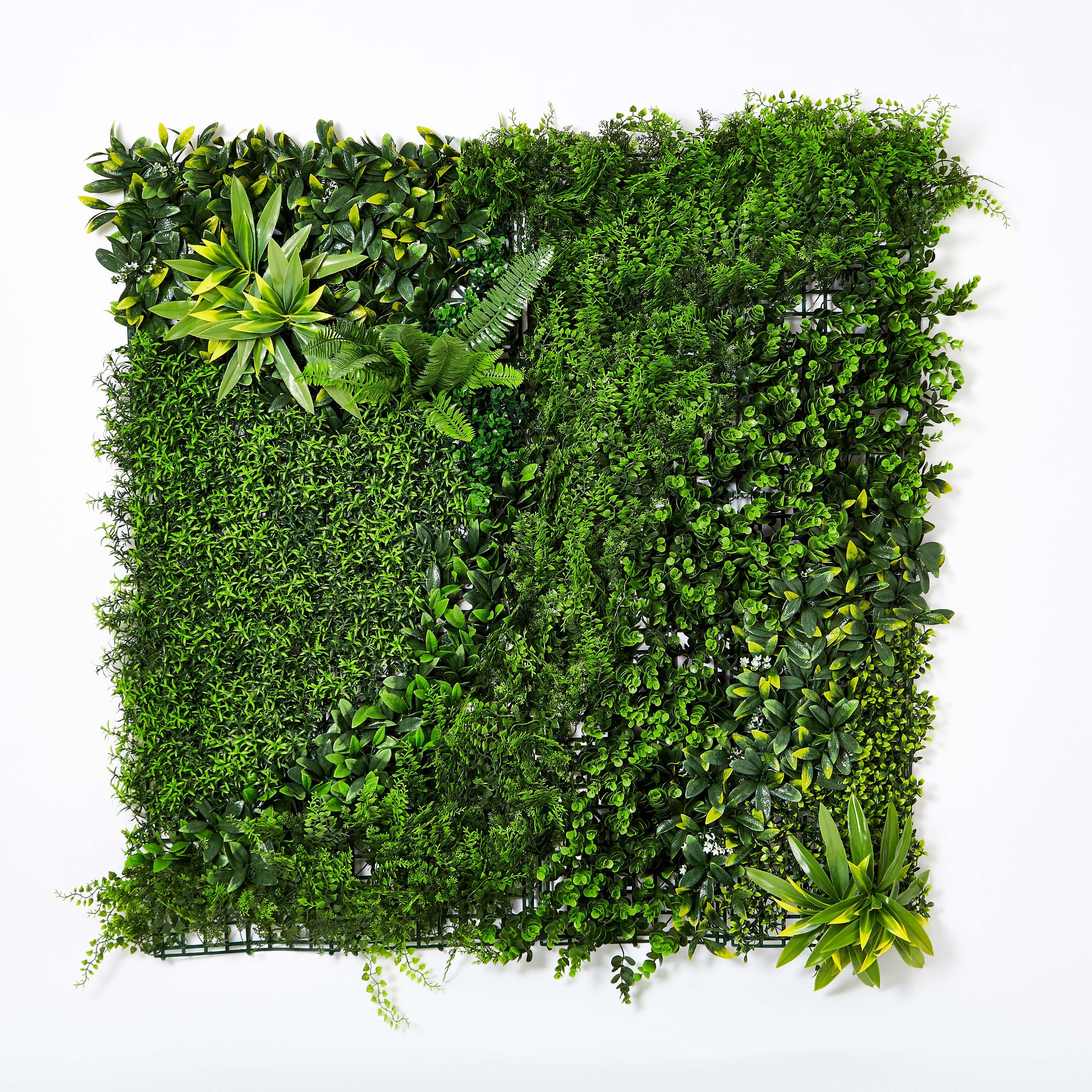 لوح نبات صناعي بيوتي سيكريت فاخر عالي التحمل - 100 × 100 سم-hbxdecorandfurnishings-homeaccessories-artificialflowersandplants-image-6