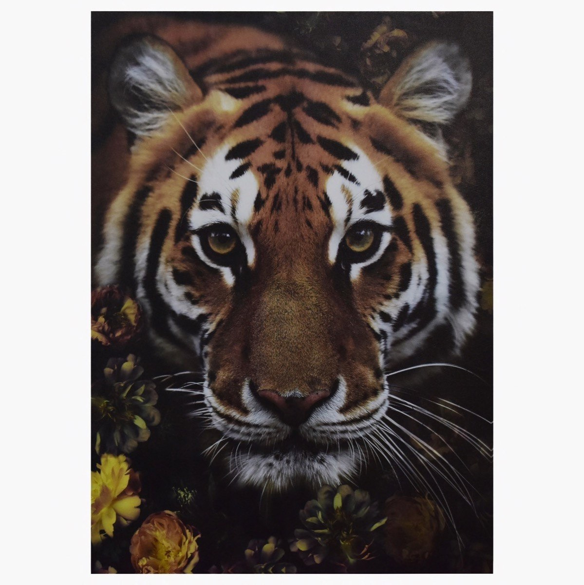 لوحة كانفاس مؤطرة بطبعات وجه نمر من فيليس - 50x2x70 سم-PROMO_HB_AE_B1G1_250925-image-2