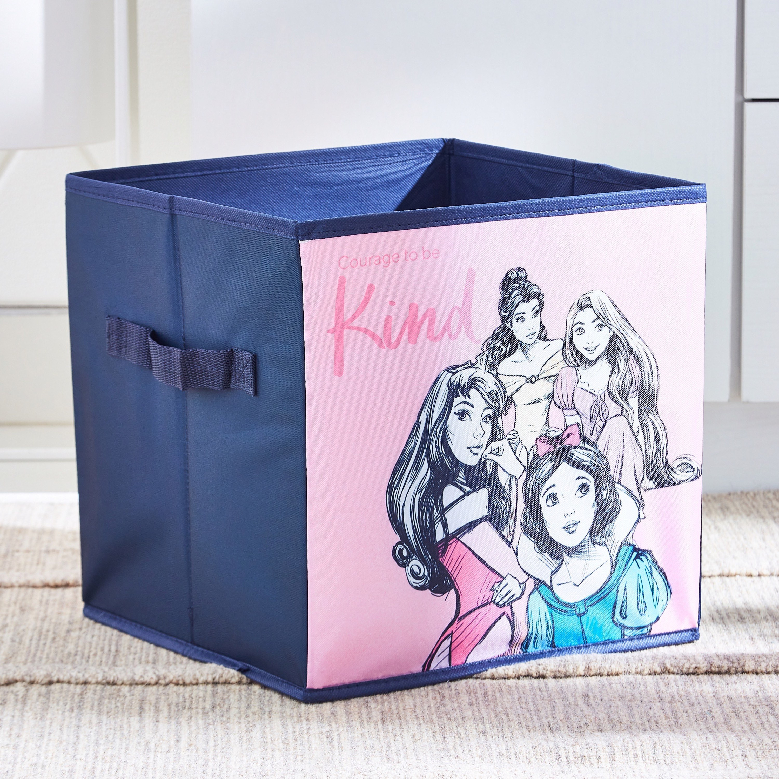 princess auto storage box