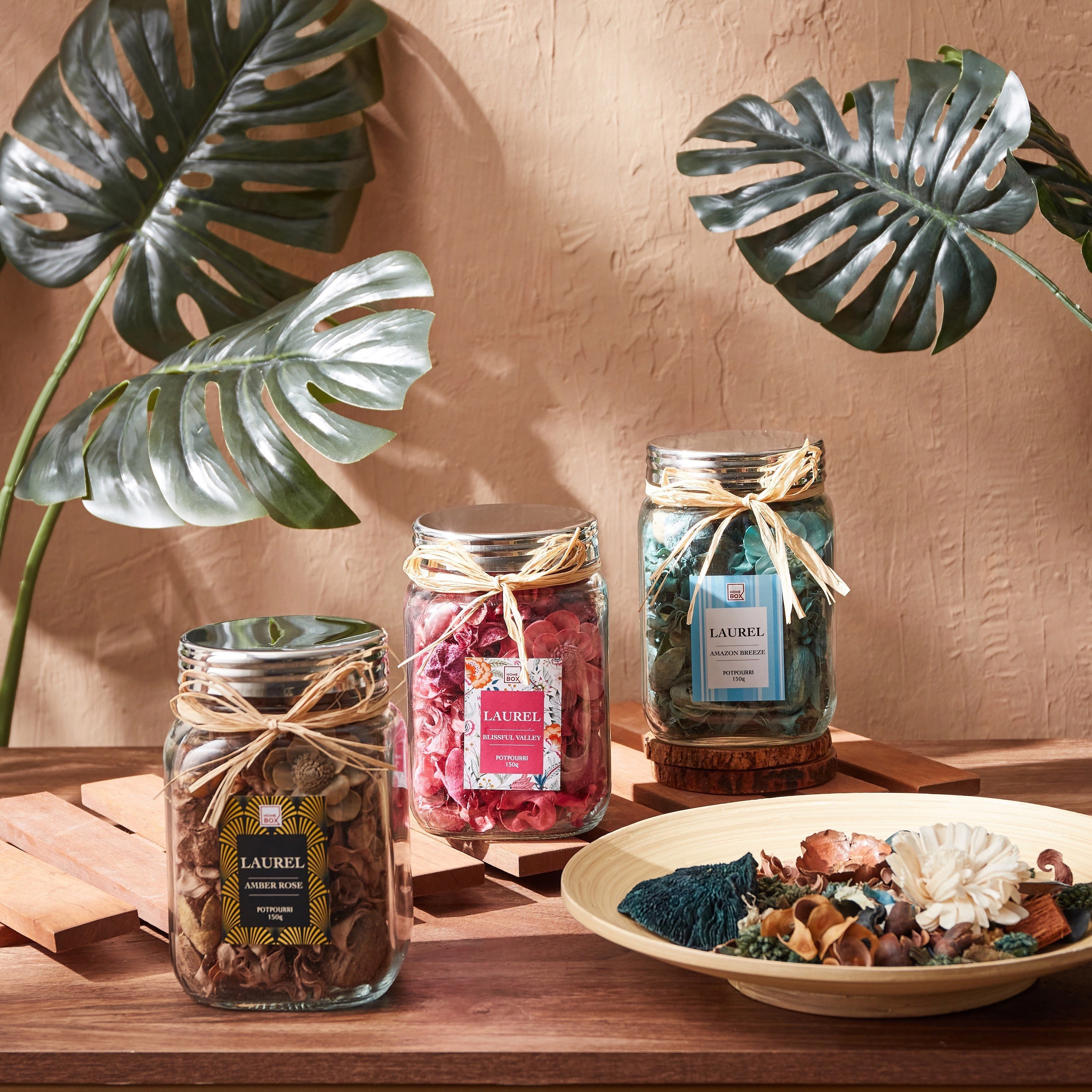 Laurel Natural Life Amazon Breeze Potpourri in Pet Jar - 150 gms-PROMO_HB_AE_B1G1_250925-image-5