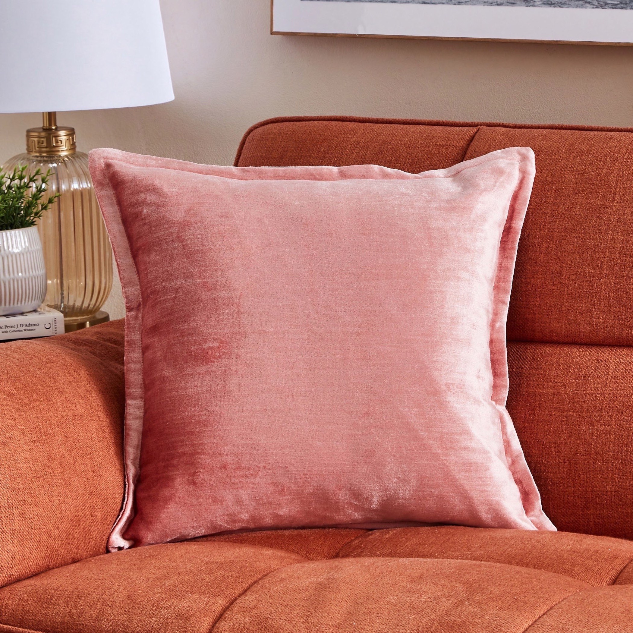 Buy velvet best sale cushions online