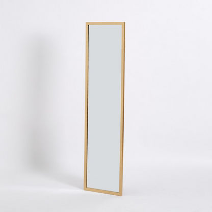 Devora Over the Door Mirror - 33x1x123 cms