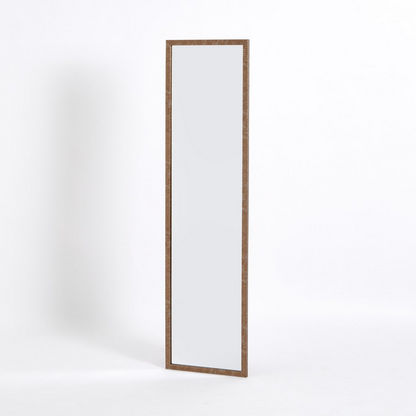 Devora Over the Door Mirror - 33x1x123 cms