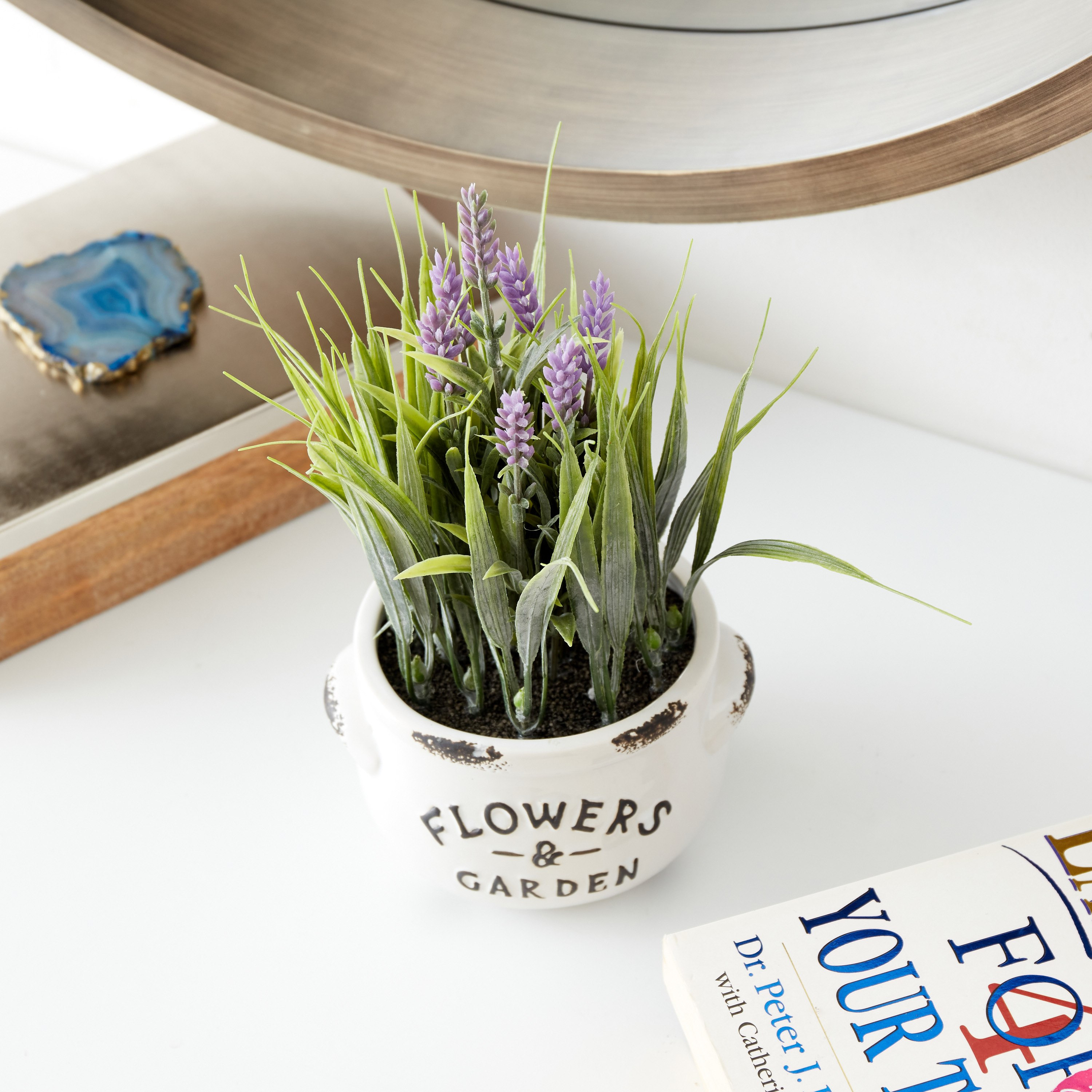 نبات خزامى بلاستيك في إناء زرع سيراميك من هالي - 28 سم-hbxdecorandfurnishings-homeaccessories-artificialflowersandplants-image-1