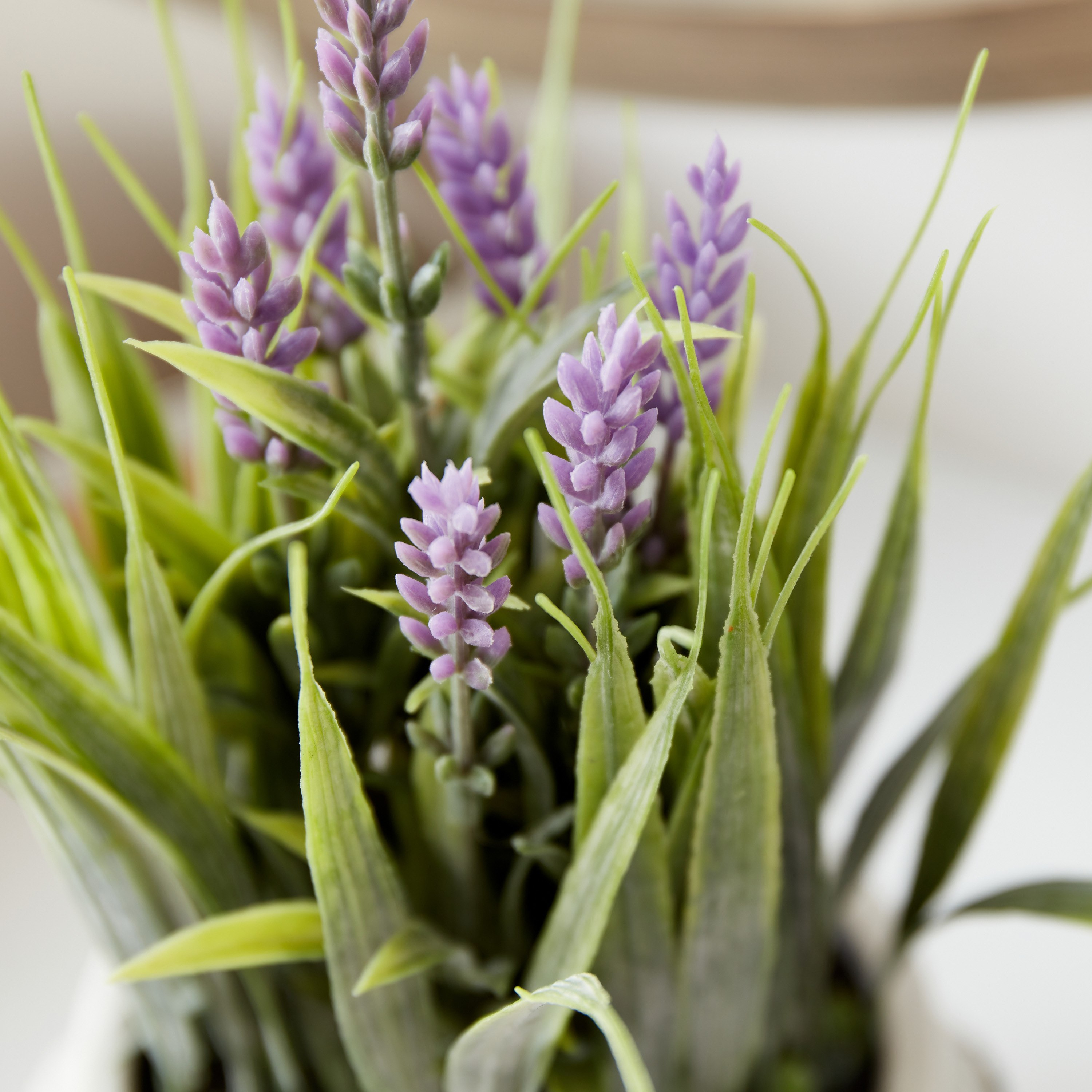 نبات خزامى بلاستيك في إناء زرع سيراميك من هالي - 28 سم-hbxdecorandfurnishings-homeaccessories-artificialflowersandplants-image-3