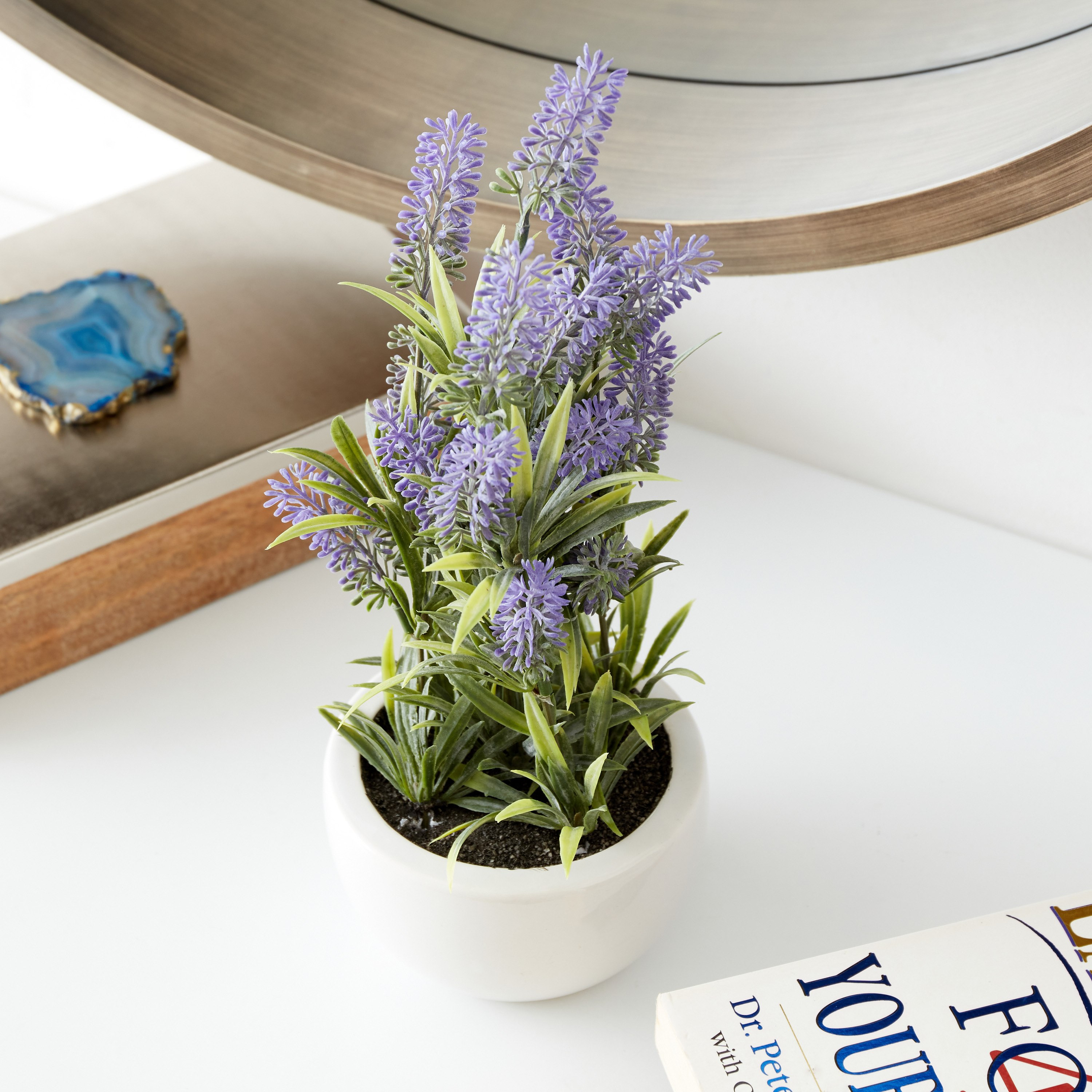 نبات خزامى بلاستيك في إناء زرع سيراميك من هالي - 12x12x33 سم-hbxdecorandfurnishings-homeaccessories-artificialflowersandplants-image-1
