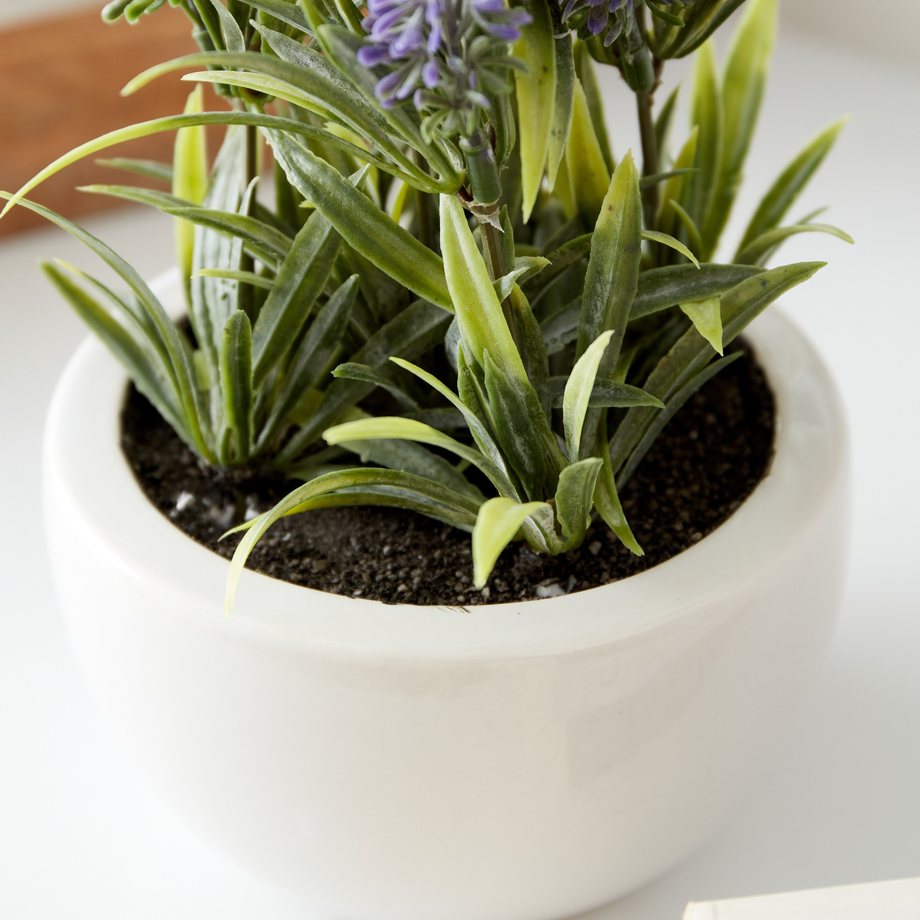 نبات خزامى بلاستيك في إناء زرع سيراميك من هالي - 12x12x33 سم-hbxdecorandfurnishings-homeaccessories-artificialflowersandplants-image-3