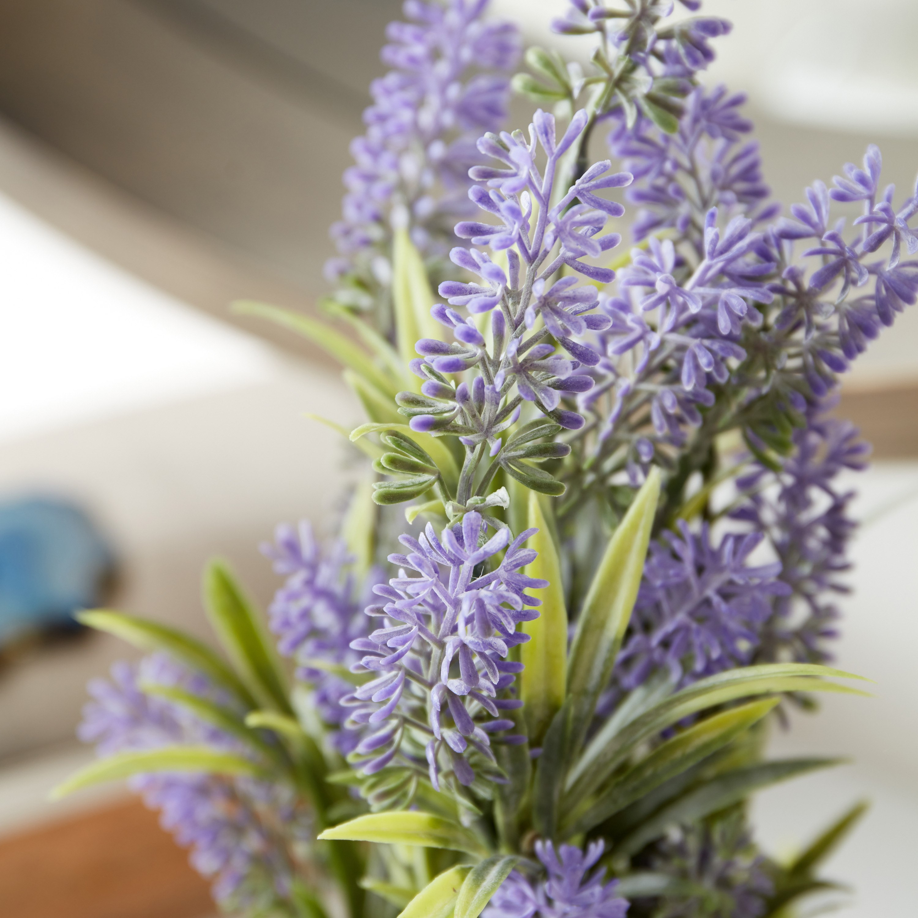 نبات خزامى بلاستيك في إناء زرع سيراميك من هالي - 12x12x33 سم-hbxdecorandfurnishings-homeaccessories-artificialflowersandplants-image-4