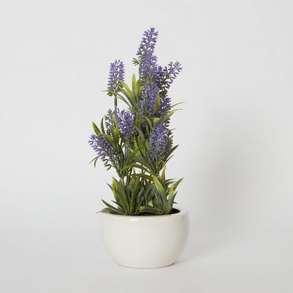 Hallie Plastic Lavender in Ceramic Pot - 12x12x33 cms
