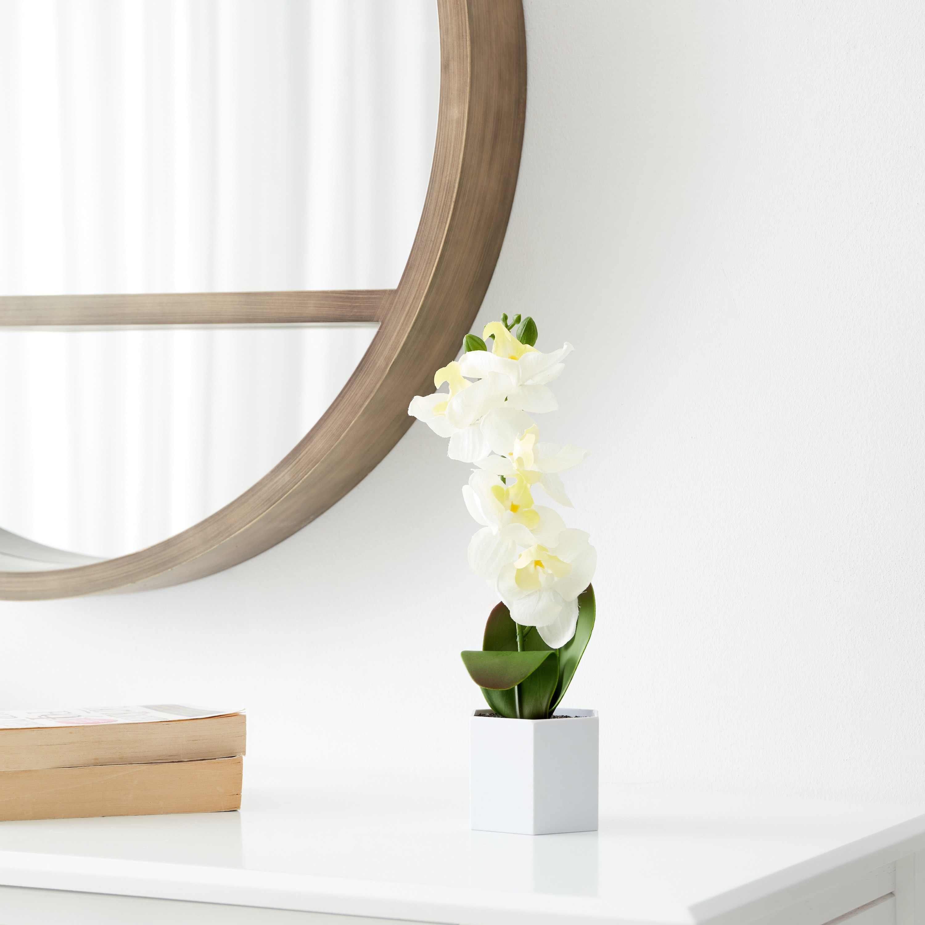نبات بلوط سيمبيديوم في إناء زرع بلاستيك من هالي - 9x8x35 سم-hbxdecorandfurnishings-homeaccessories-artificialflowersandplants-image-2