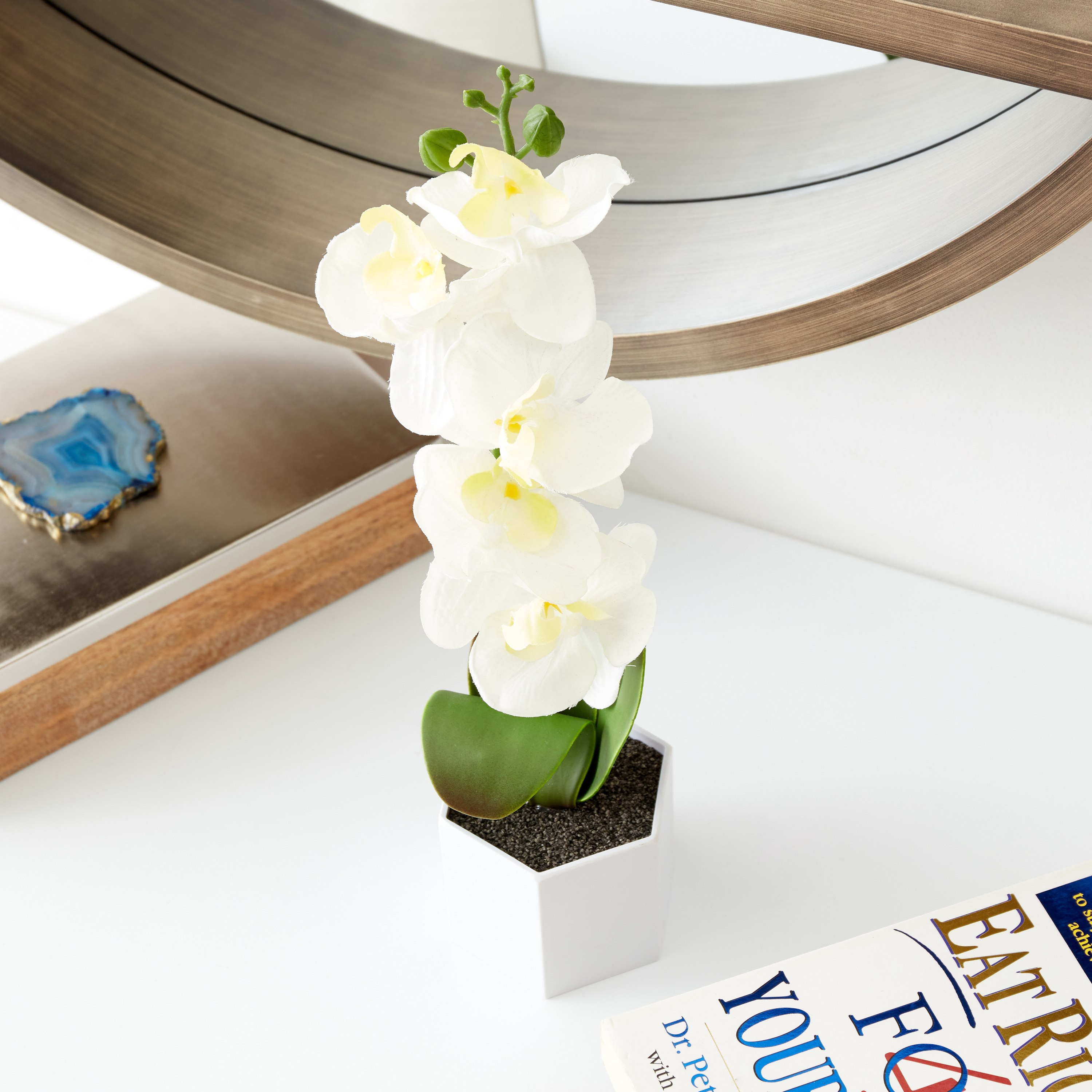 نبات بلوط سيمبيديوم في إناء زرع بلاستيك من هالي - 9x8x35 سم-hbxdecorandfurnishings-homeaccessories-artificialflowersandplants-image-1