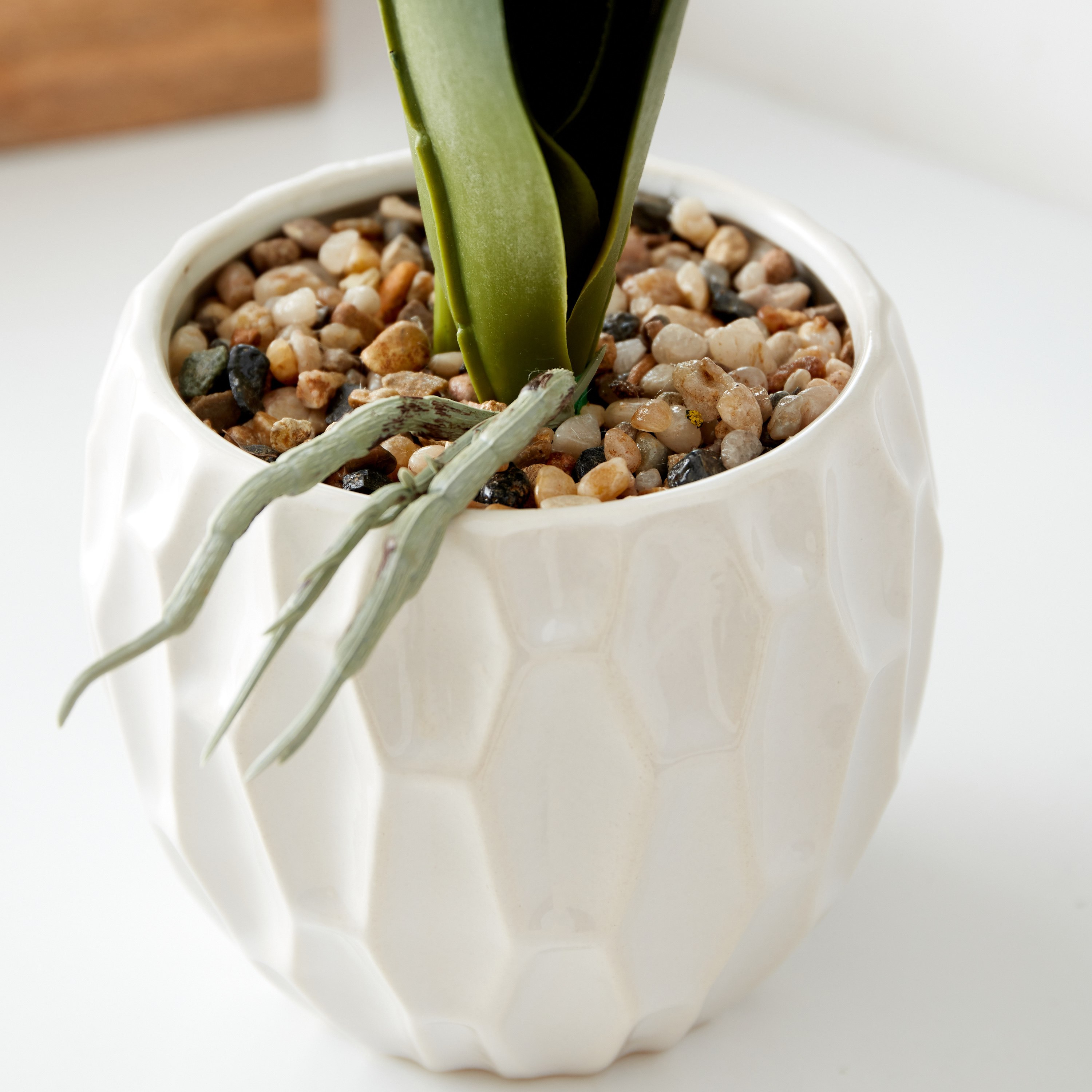 باقة زهور أوركيد كبيرة في إصيص سيراميك من هالي - 11x11x68 سم-hbxdecorandfurnishings-homeaccessories-artificialflowersandplants-image-3
