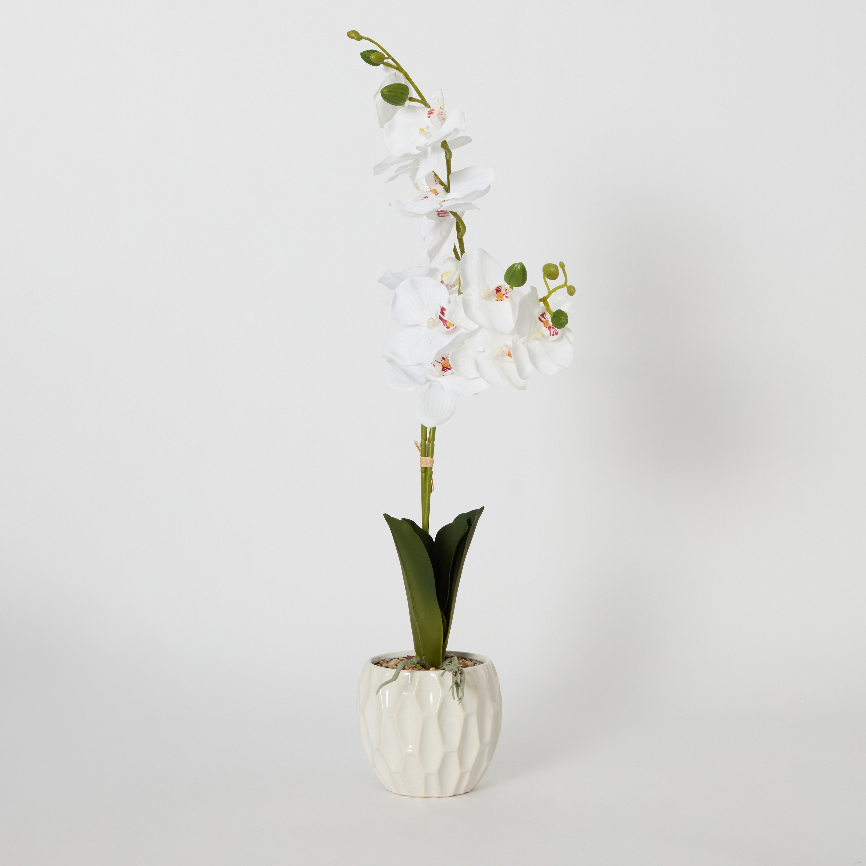 باقة زهور أوركيد كبيرة في إصيص سيراميك من هالي - 11x11x68 سم-hbxdecorandfurnishings-homeaccessories-artificialflowersandplants-image-5