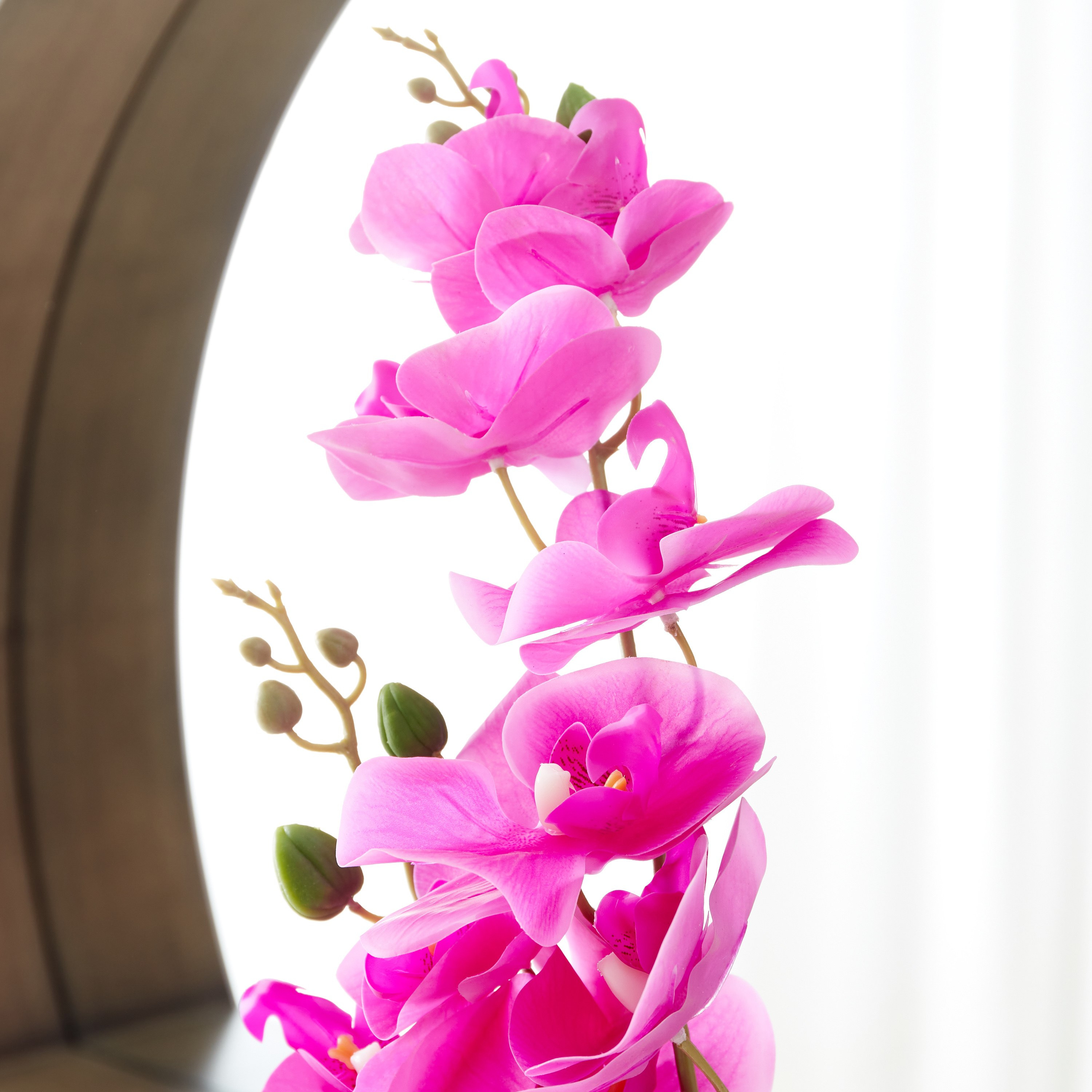 نبات أوركيد بملمس حقيقي في إناء زرع سيراميك مطلي من هالي - 15x15x77 سم-hbxdecorandfurnishings-homeaccessories-artificialflowersandplants-image-2