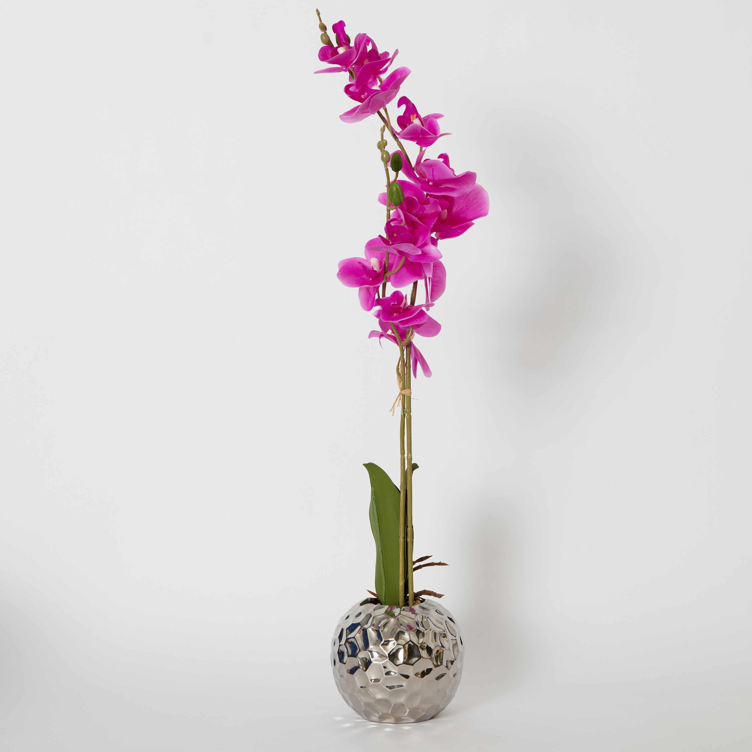 نبات أوركيد بملمس حقيقي في إناء زرع سيراميك مطلي من هالي - 15x15x77 سم-hbxdecorandfurnishings-homeaccessories-artificialflowersandplants-image-5