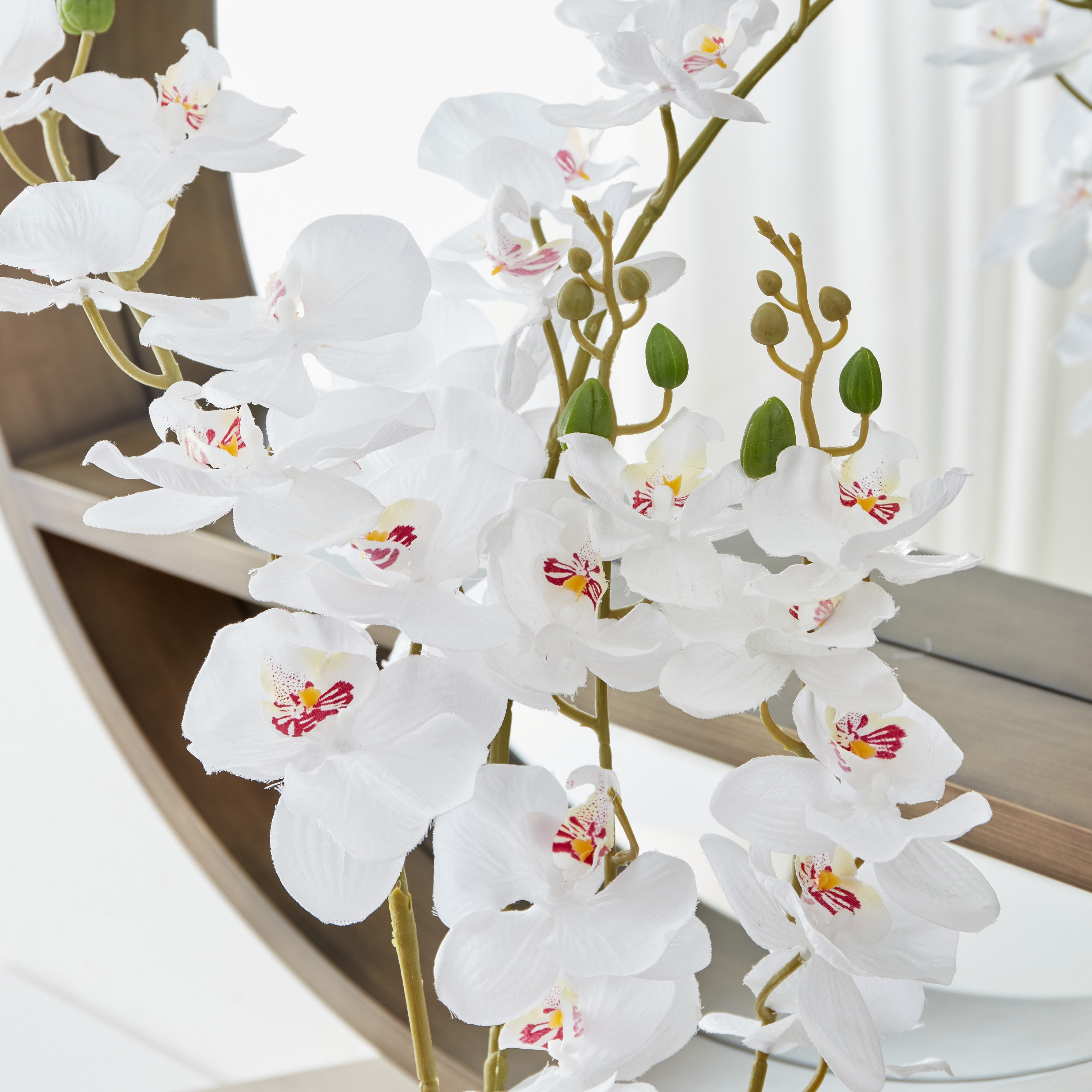 نبتة أوركيد مزدوجة كبيرة في إناء زرع مطلي من هالي - 16x16x78 سم-hbxdecorandfurnishings-homeaccessories-artificialflowersandplants-image-2