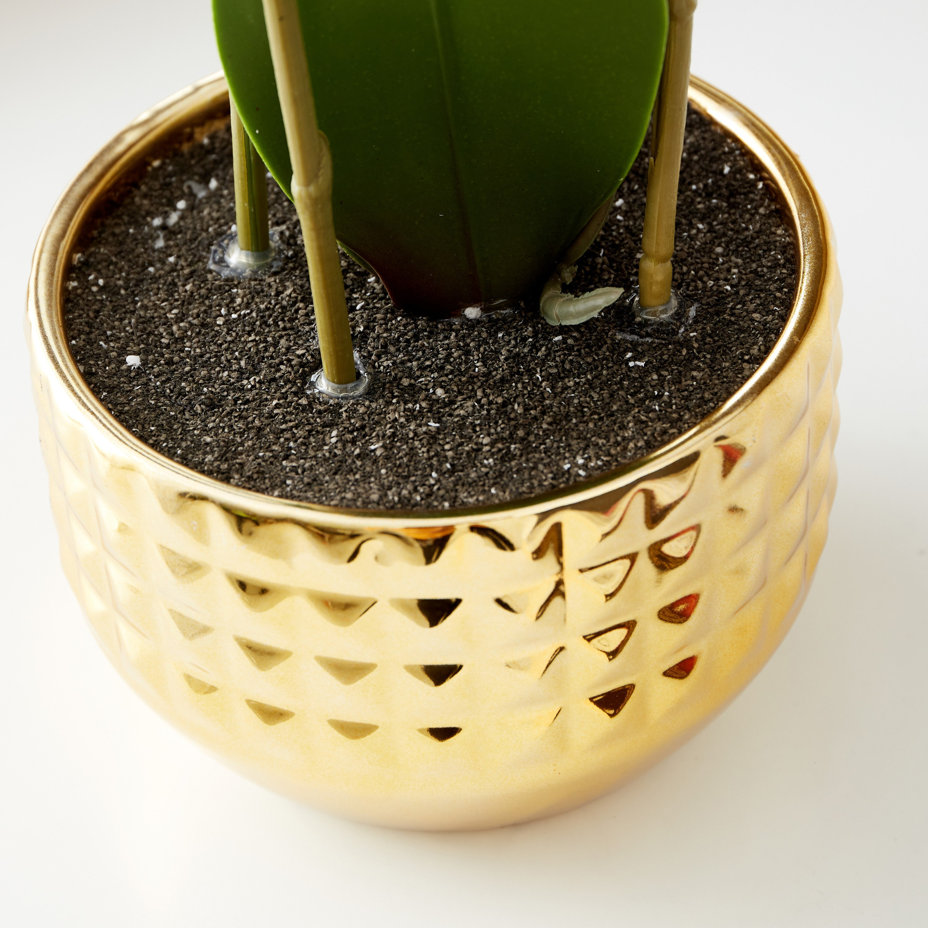 نبتة أوركيد مزدوجة كبيرة في إناء زرع مطلي من هالي - 16x16x78 سم-hbxdecorandfurnishings-homeaccessories-artificialflowersandplants-image-3