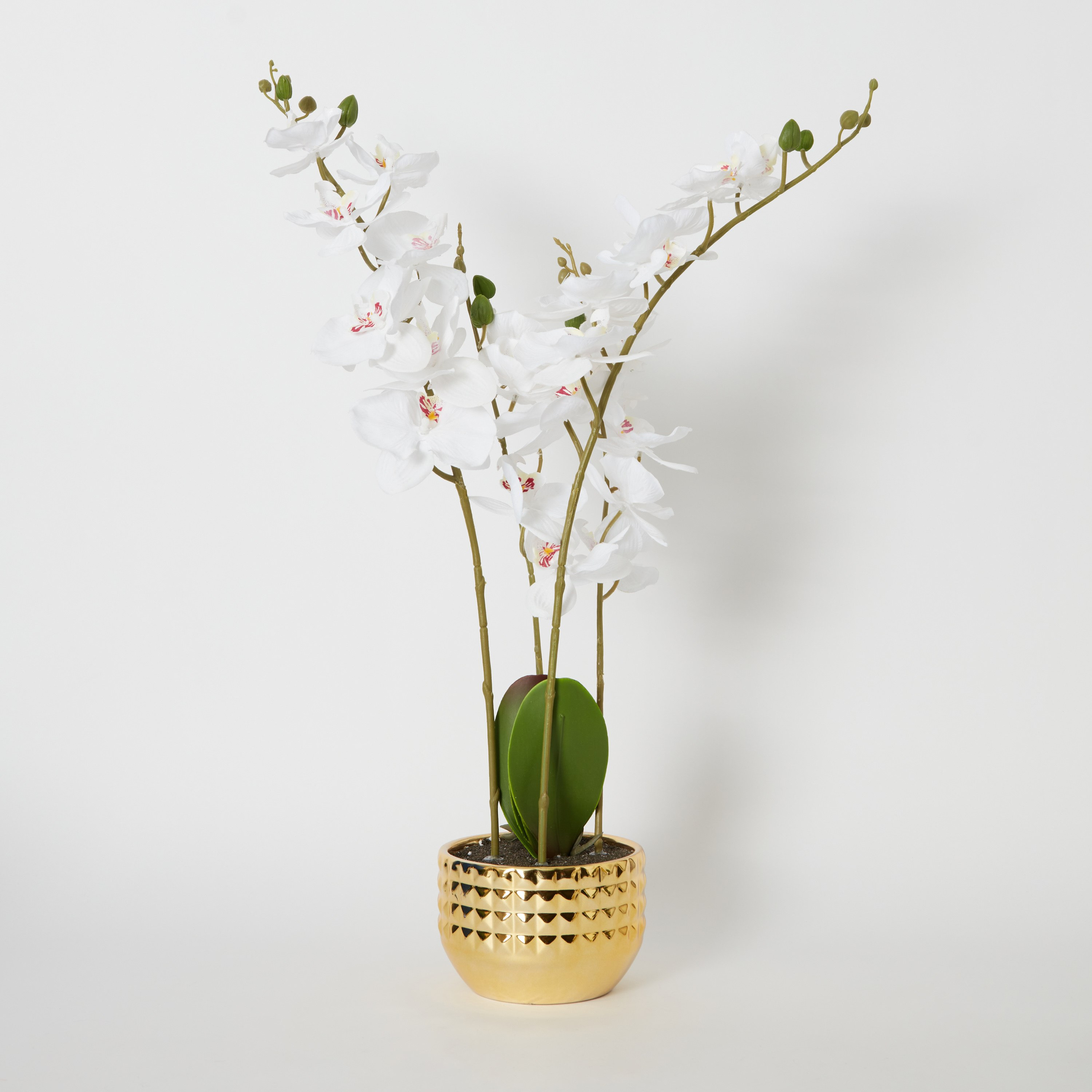 نبتة أوركيد مزدوجة كبيرة في إناء زرع مطلي من هالي - 16x16x78 سم-hbxdecorandfurnishings-homeaccessories-artificialflowersandplants-image-5