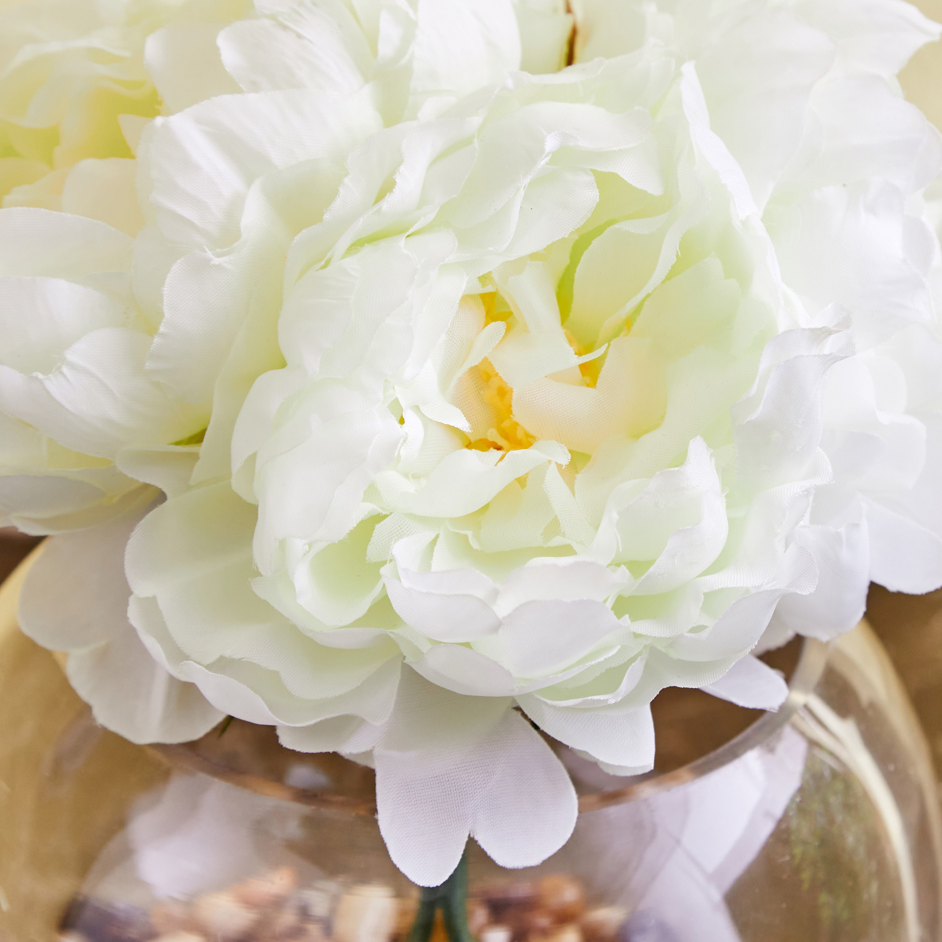 نبات الفاوانيا في وعاء زجاجي من هالي - 16 سم-hbxdecorandfurnishings-homeaccessories-artificialflowersandplants-image-2
