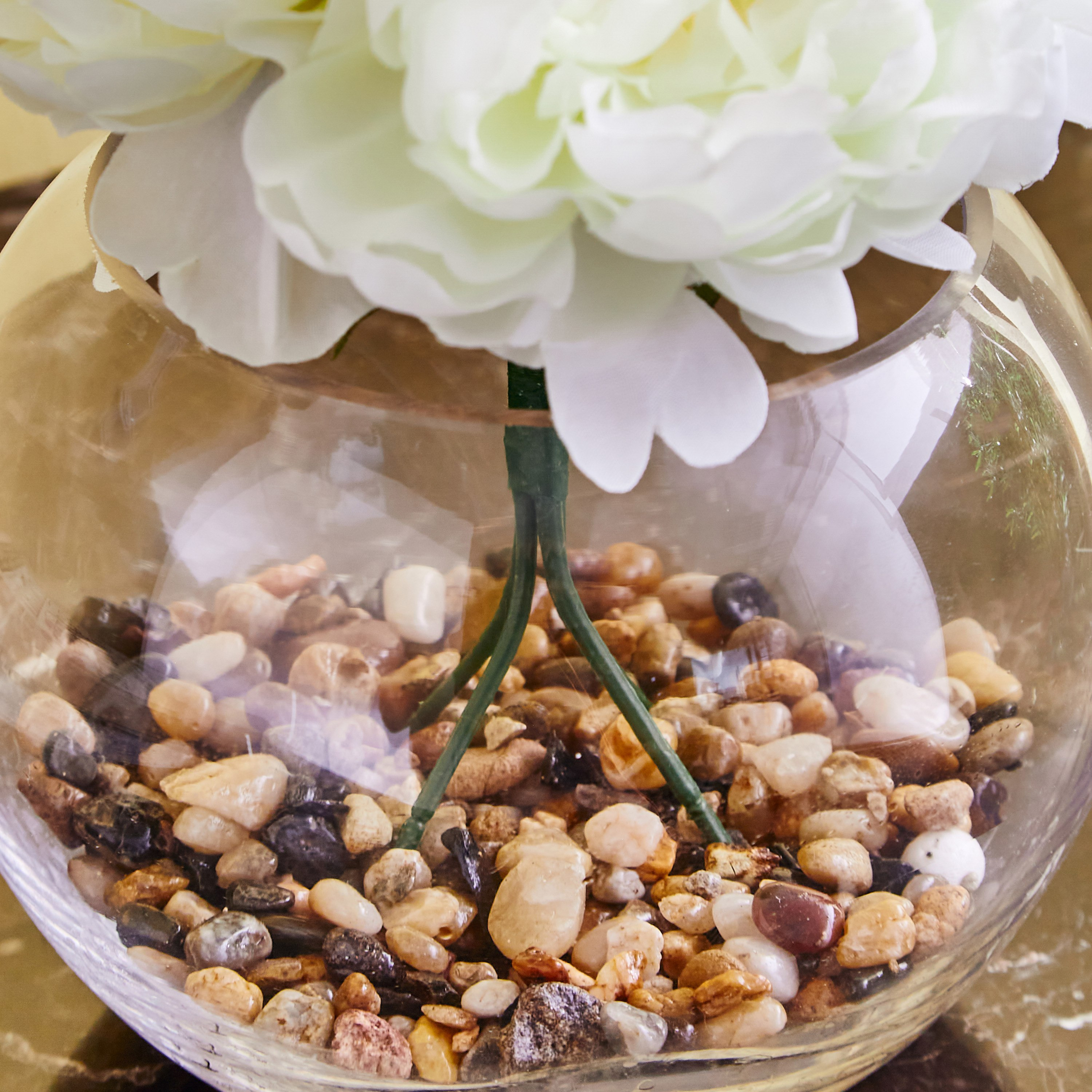 نبات الفاوانيا في وعاء زجاجي من هالي - 16 سم-hbxdecorandfurnishings-homeaccessories-artificialflowersandplants-image-3