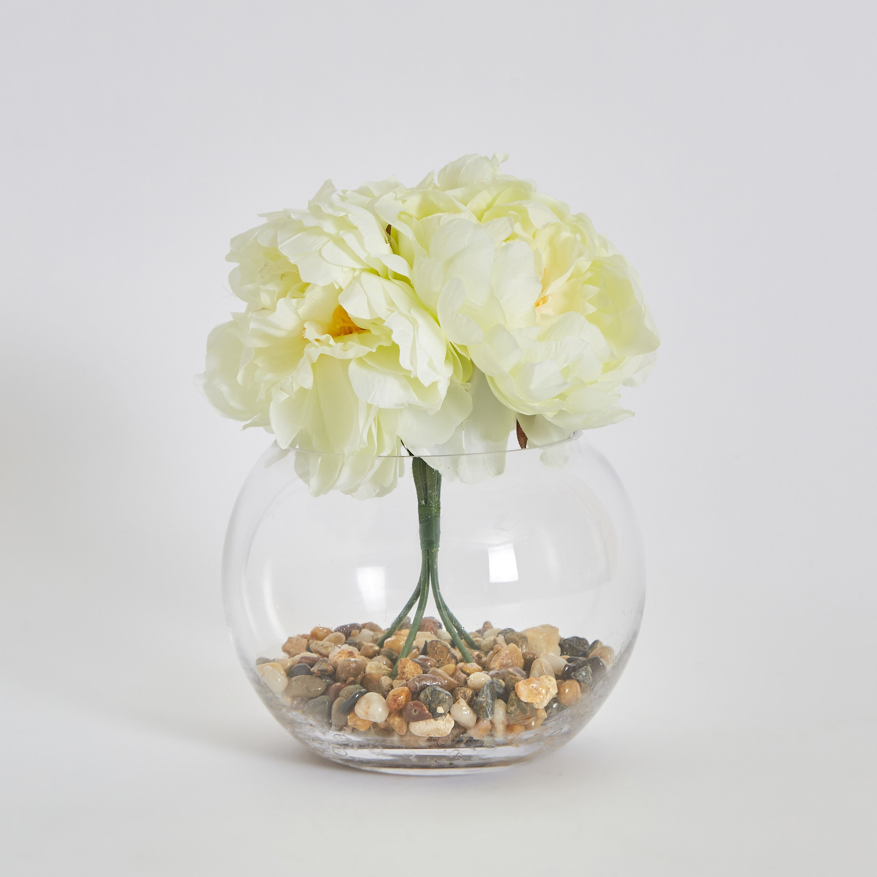 نبات الفاوانيا في وعاء زجاجي من هالي - 16 سم-hbxdecorandfurnishings-homeaccessories-artificialflowersandplants-image-5