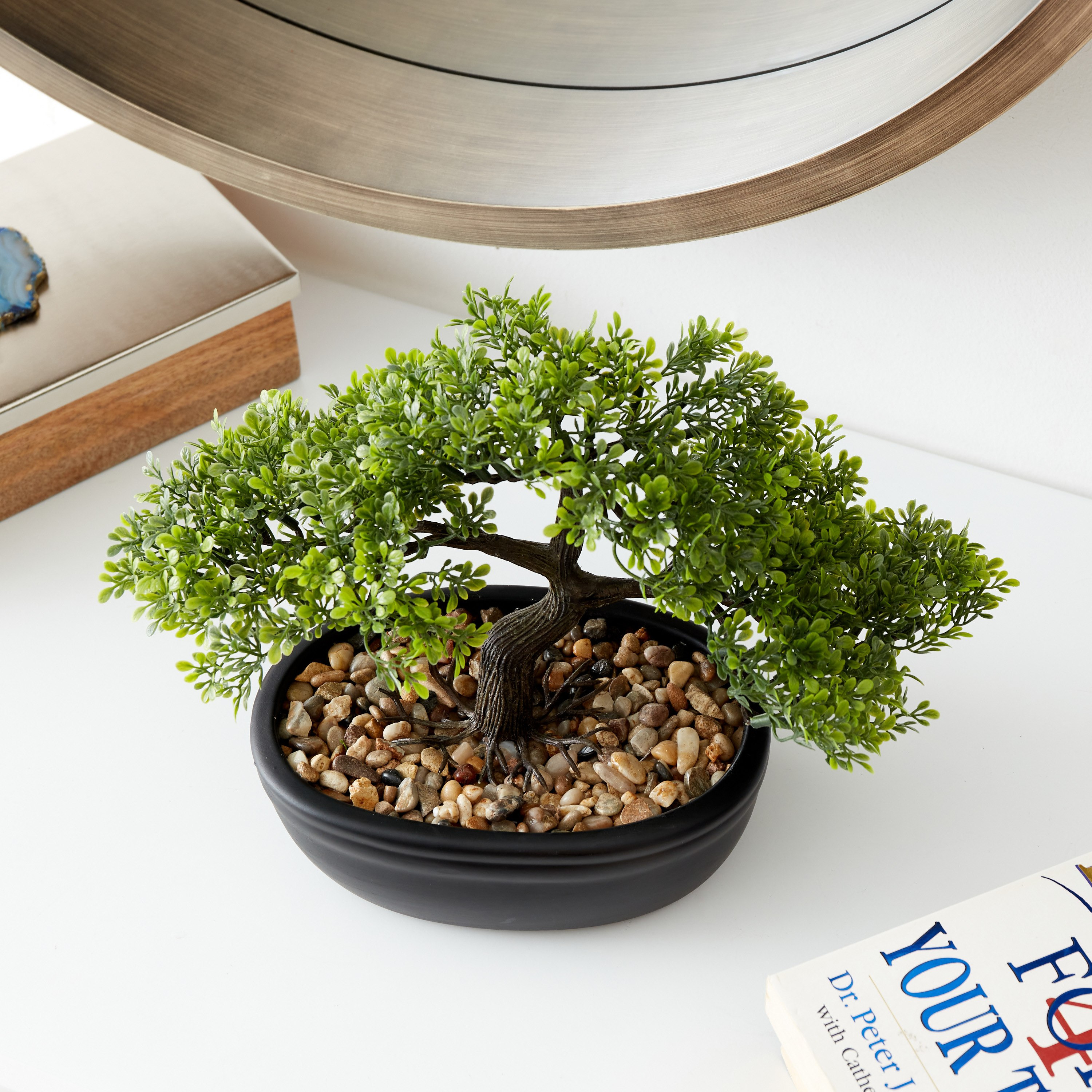 Hallie Bonsai in Oval Pot - 32x24x14 cm-hbxdecorandfurnishings-homeaccessories-artificialflowersandplants-image-1