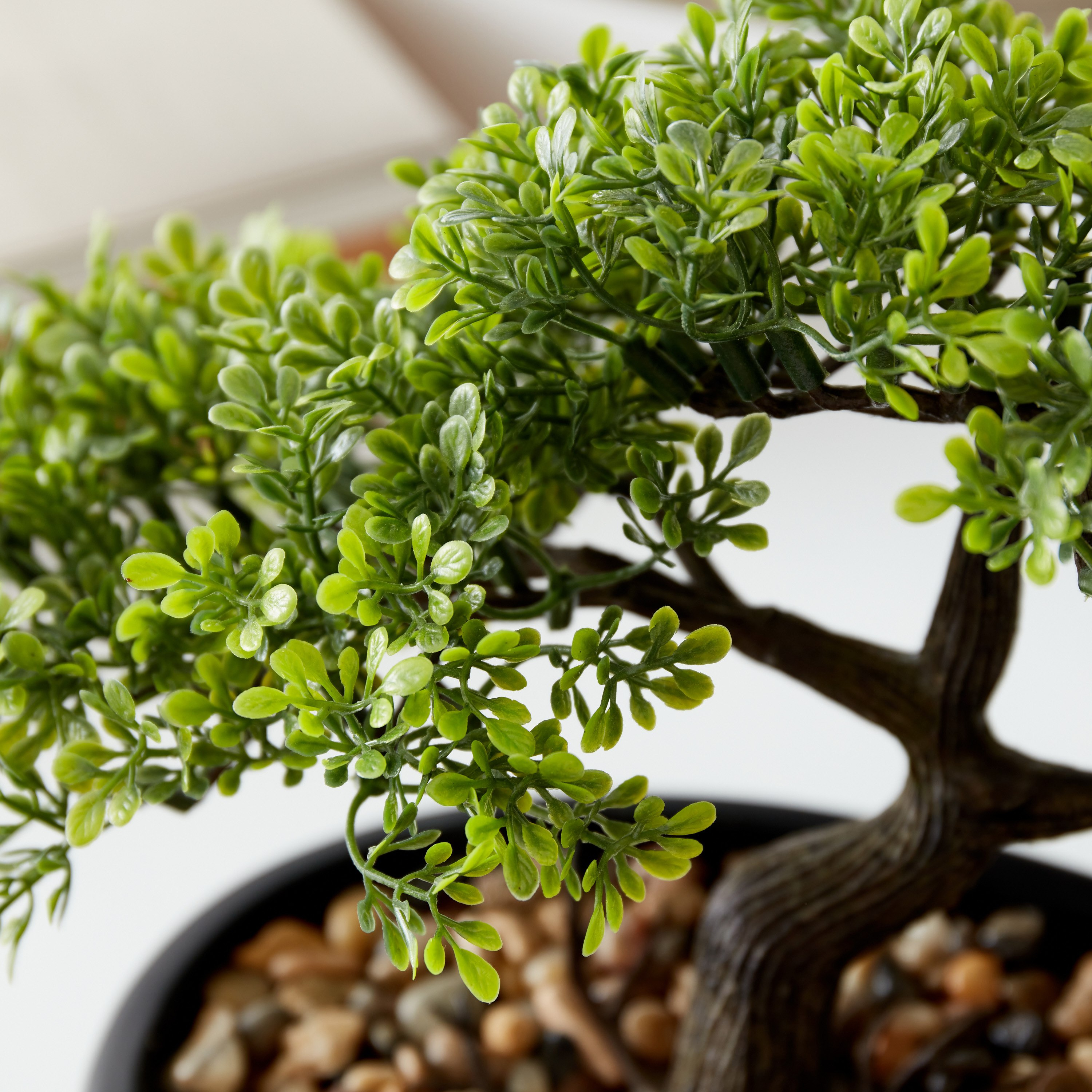 Hallie Bonsai in Oval Pot - 32x24x14 cm-hbxdecorandfurnishings-homeaccessories-artificialflowersandplants-image-3