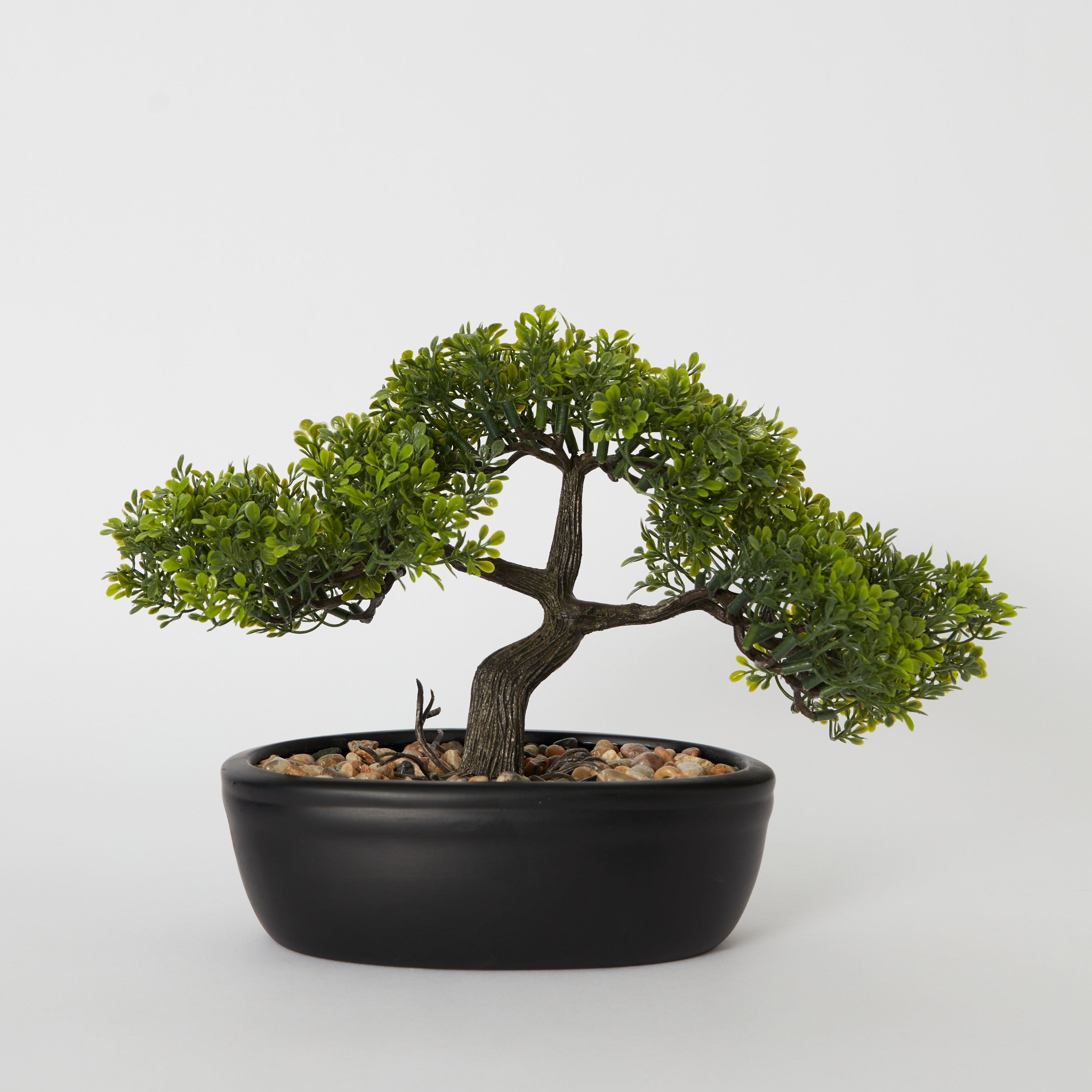 Hallie Bonsai in Oval Pot - 32x24x14 cm-hbxdecorandfurnishings-homeaccessories-artificialflowersandplants-image-6