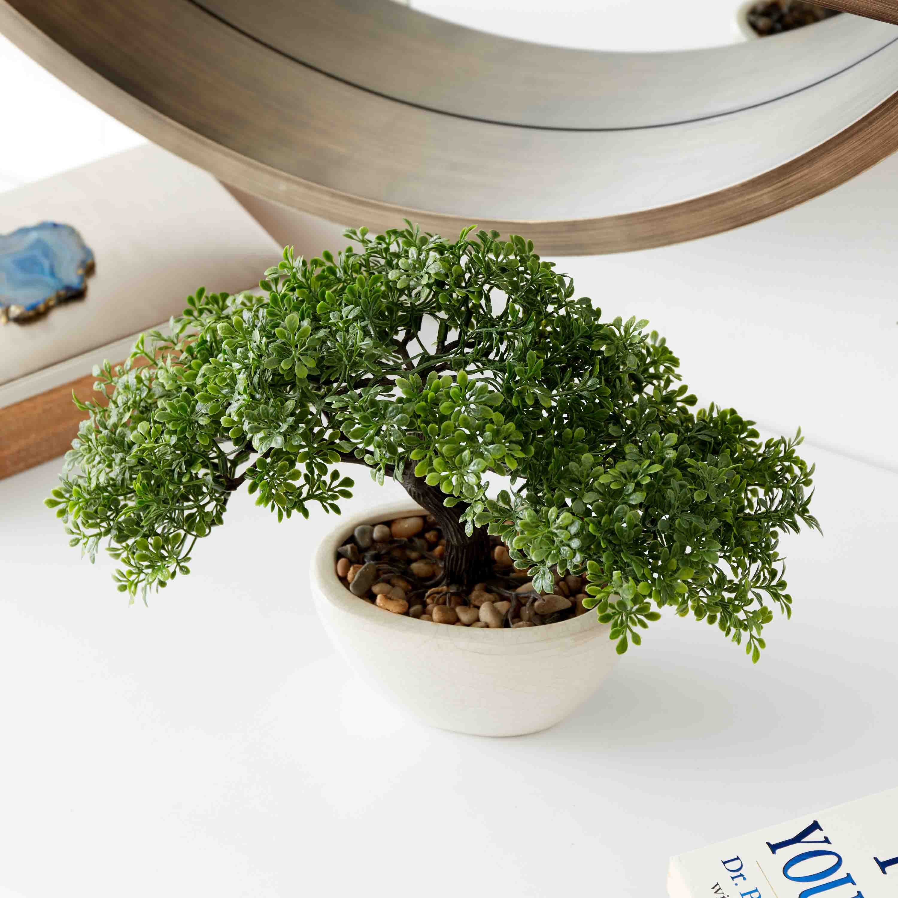 نبات بونساي في إناء زرع سيراميك من هالي - 32x27x10 سم-hbxdecorandfurnishings-homeaccessories-artificialflowersandplants-image-1
