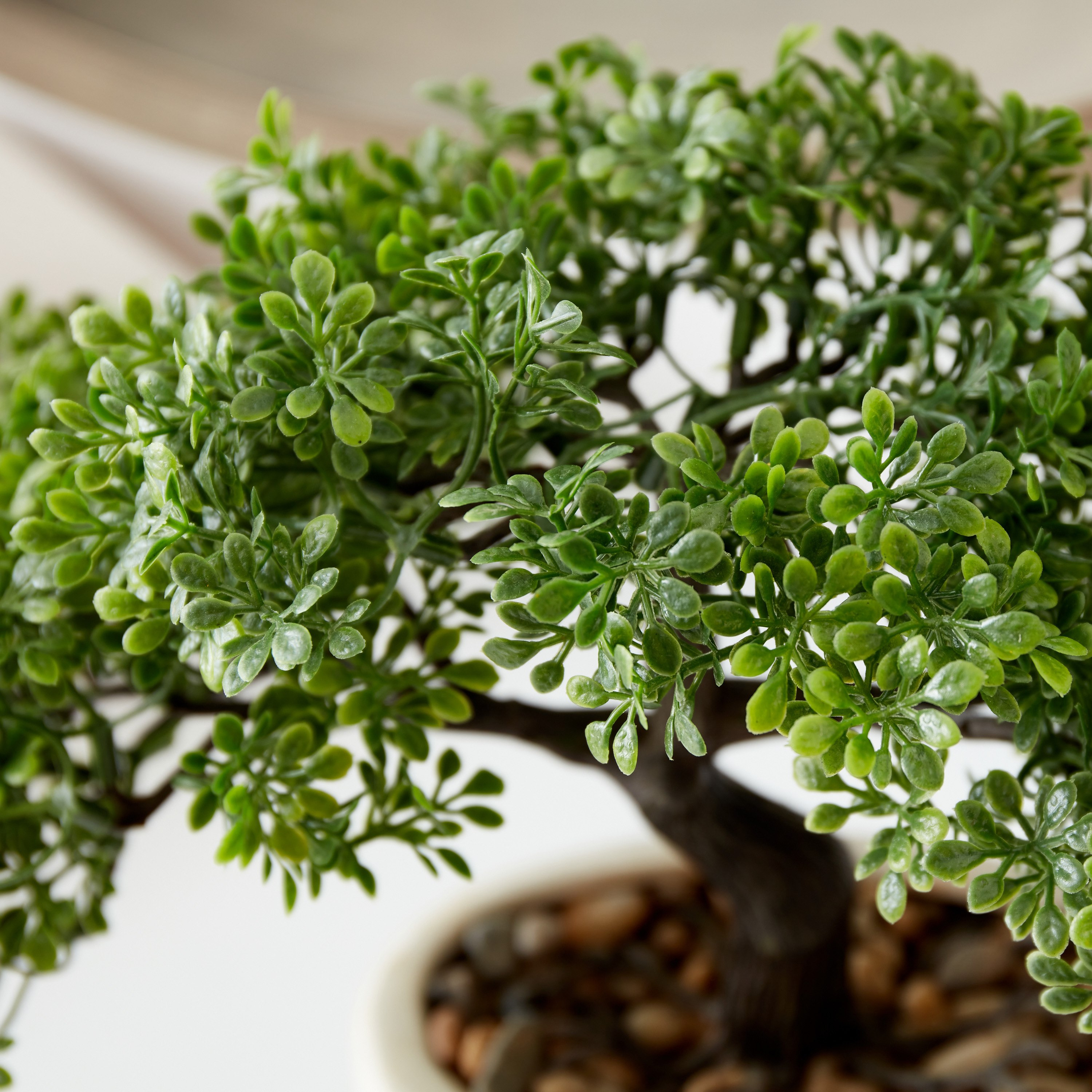 نبات بونساي في إناء زرع سيراميك من هالي - 32x27x10 سم-hbxdecorandfurnishings-homeaccessories-artificialflowersandplants-image-3