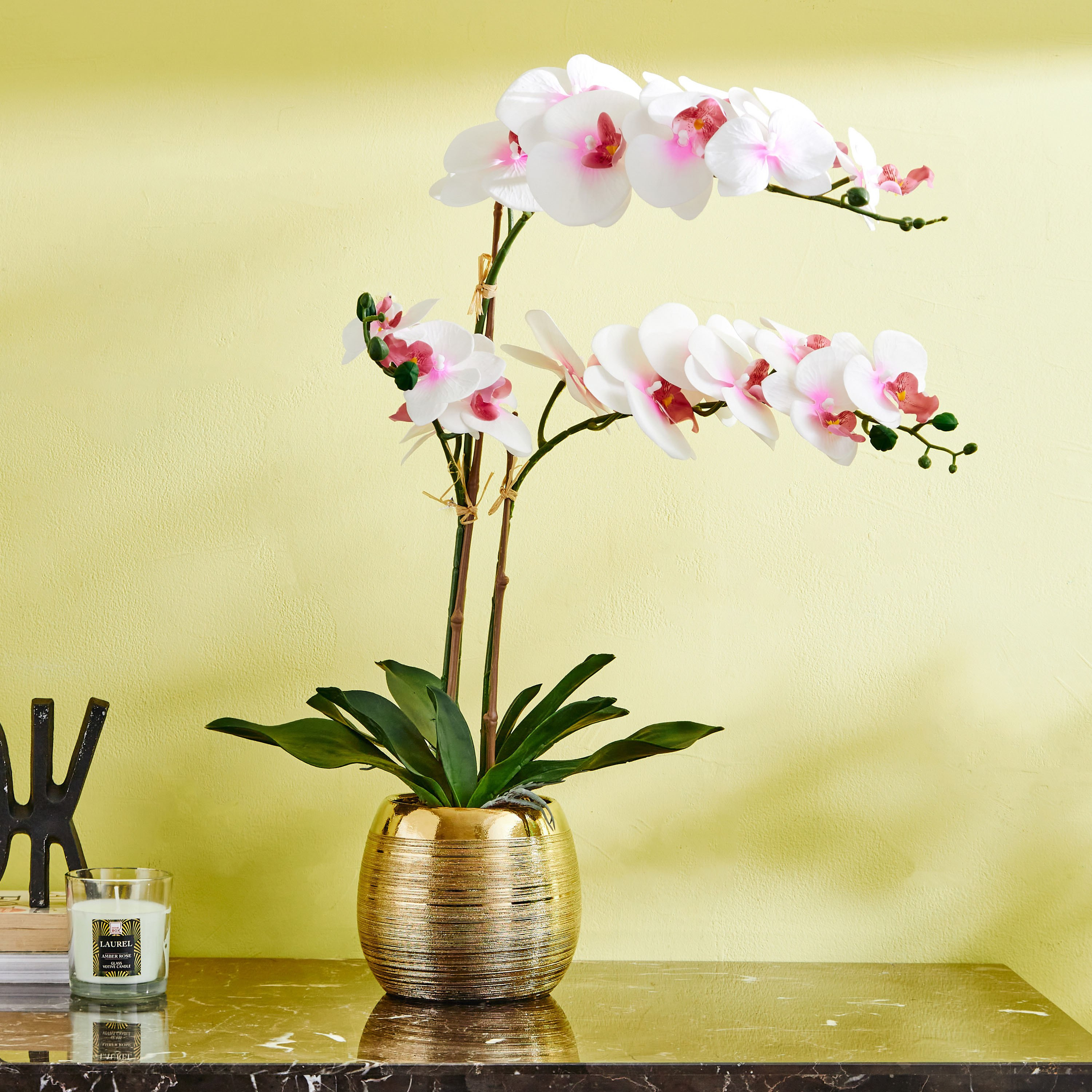 نبات أوركيد في إناء سيراميك من هالي - 64 سم-hbxdecorandfurnishings-homeaccessories-artificialflowersandplants-image-1