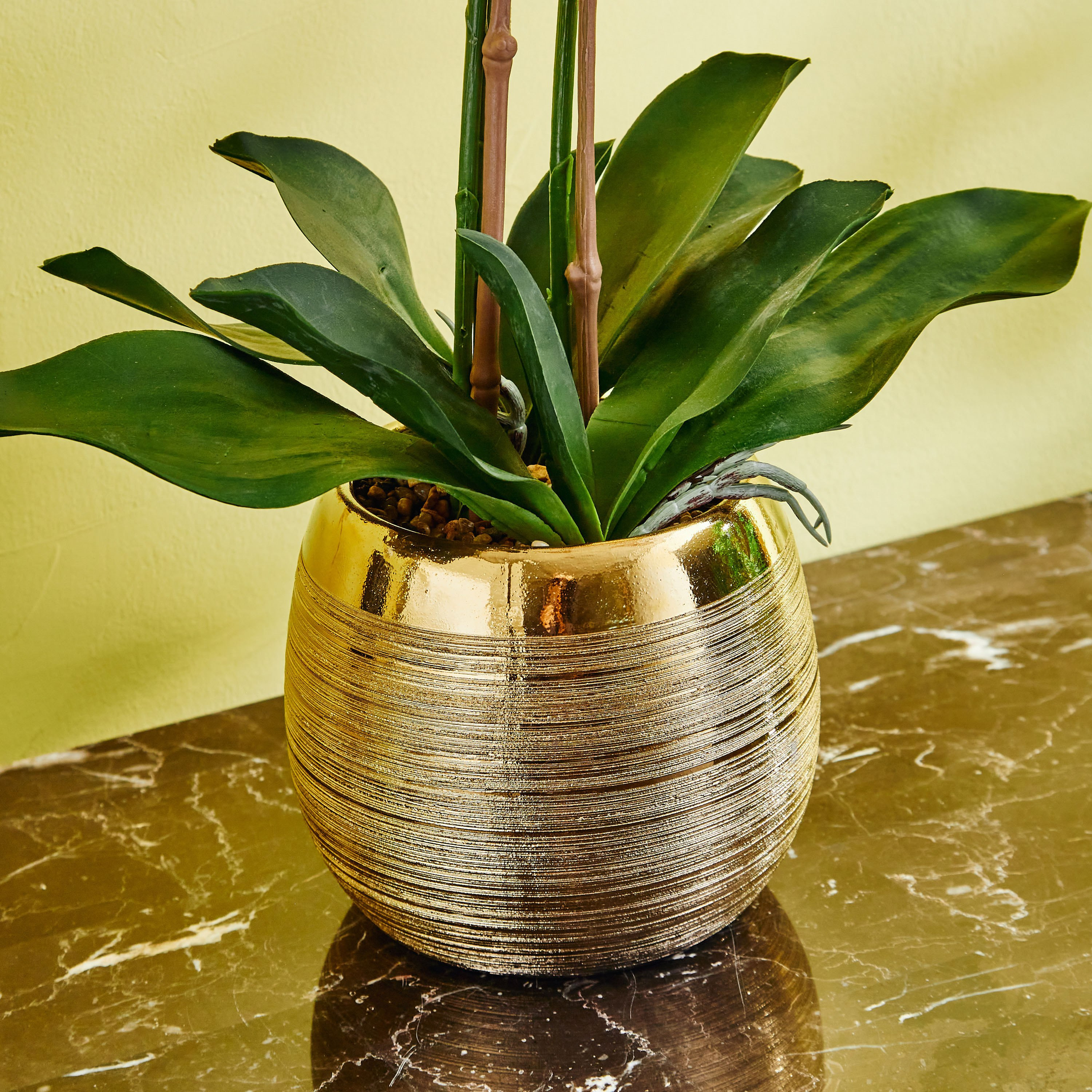 نبات أوركيد في إناء سيراميك من هالي - 64 سم-hbxdecorandfurnishings-homeaccessories-artificialflowersandplants-image-3