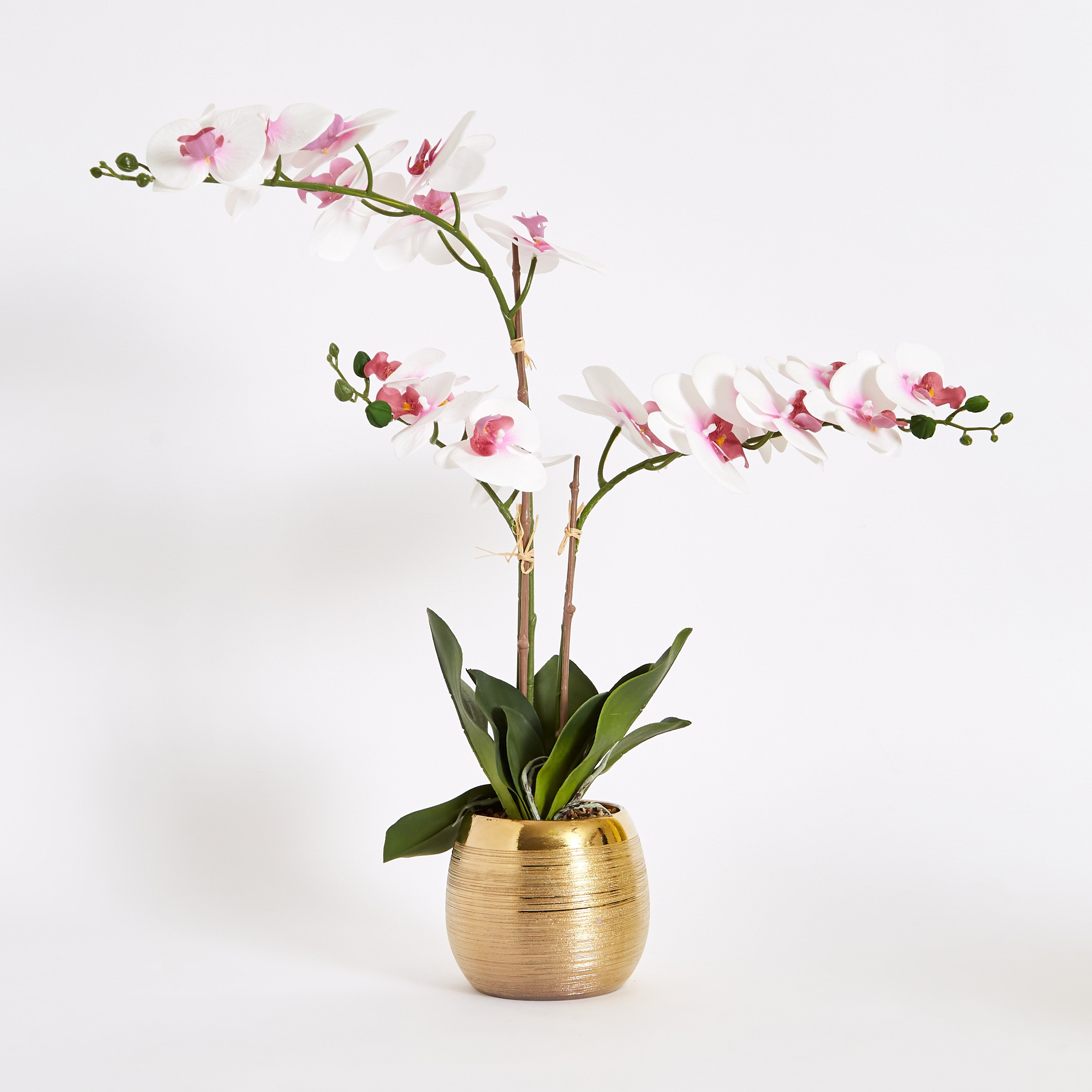 نبات أوركيد في إناء سيراميك من هالي - 64 سم-hbxdecorandfurnishings-homeaccessories-artificialflowersandplants-image-5
