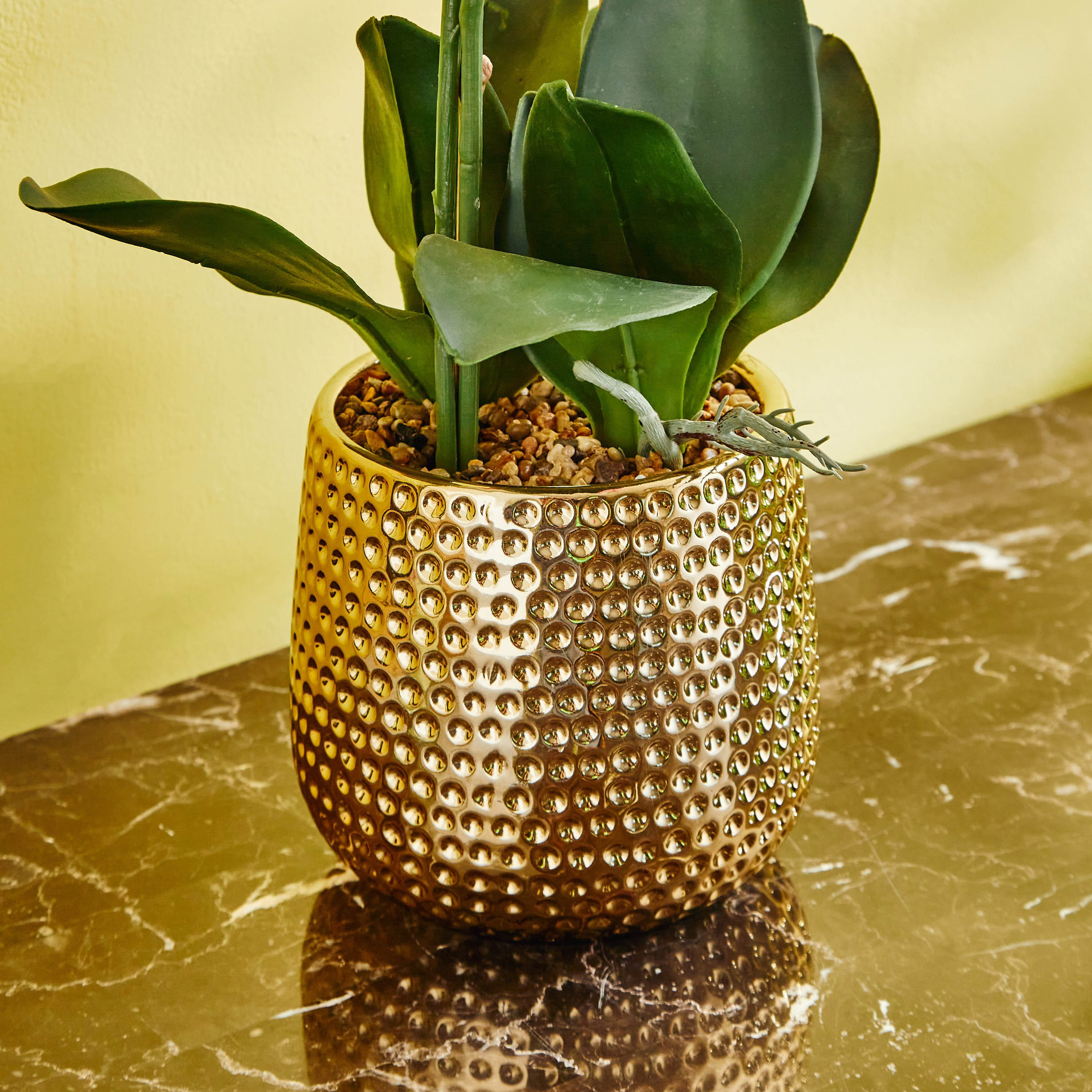 نبات أوركيد في إناء سيراميك من هالي - 70 سم-hbxdecorandfurnishings-homeaccessories-artificialflowersandplants-image-2