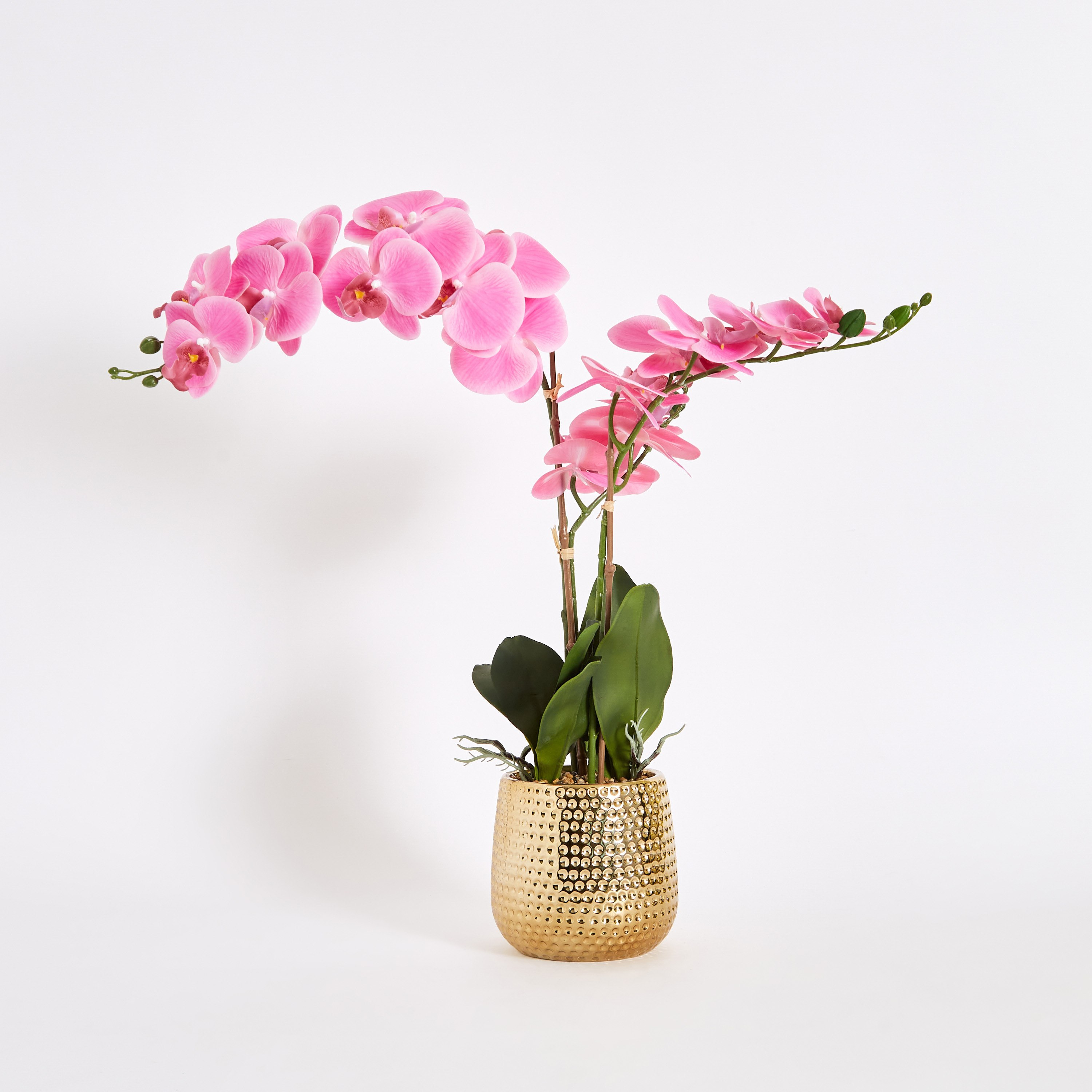 نبات أوركيد في إناء سيراميك من هالي - 70 سم-hbxdecorandfurnishings-homeaccessories-artificialflowersandplants-image-5