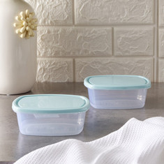 Royal Silver 2-Piece Storage Container Set - 480 ml