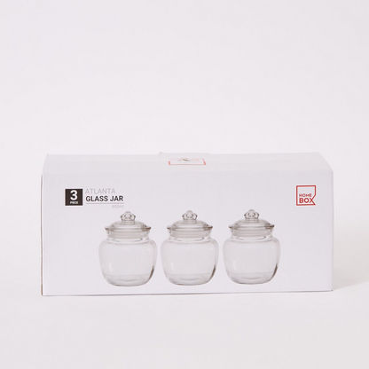 Atlanta 3-Piece Belly Glass Jar Set - 600 ml