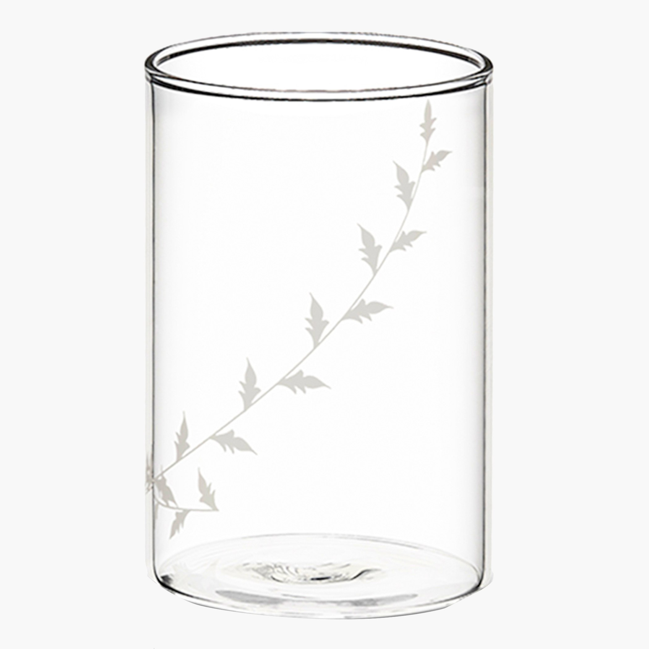طقم أكواب زجاجية 6 قطع من بوروسيل - 295 مل-hbxhomeware-hbxkitchen-image-5