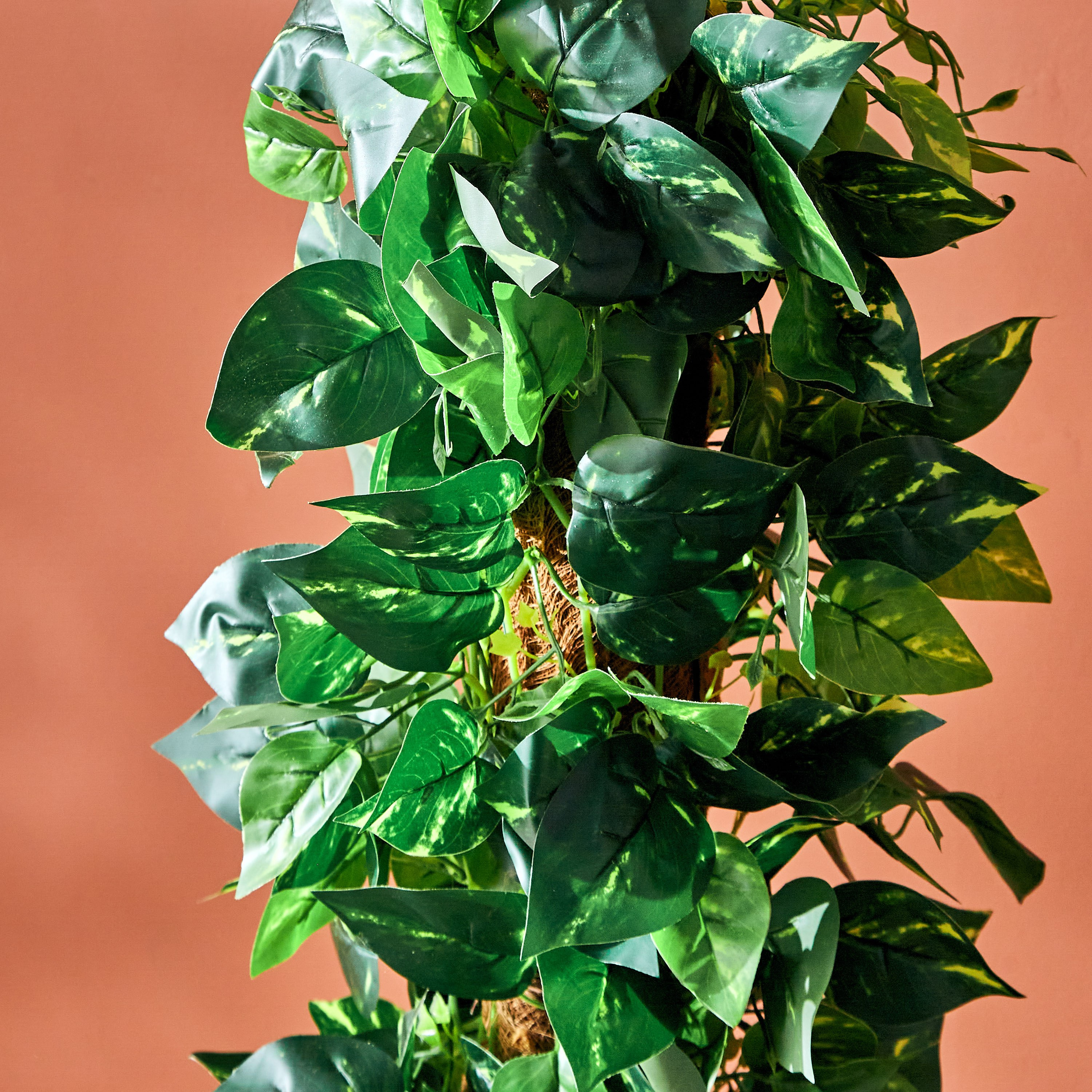 شجرة بوثوس من تيودورا - 122 سم-hbxdecorandfurnishings-homeaccessories-artificialflowersandplants-image-2