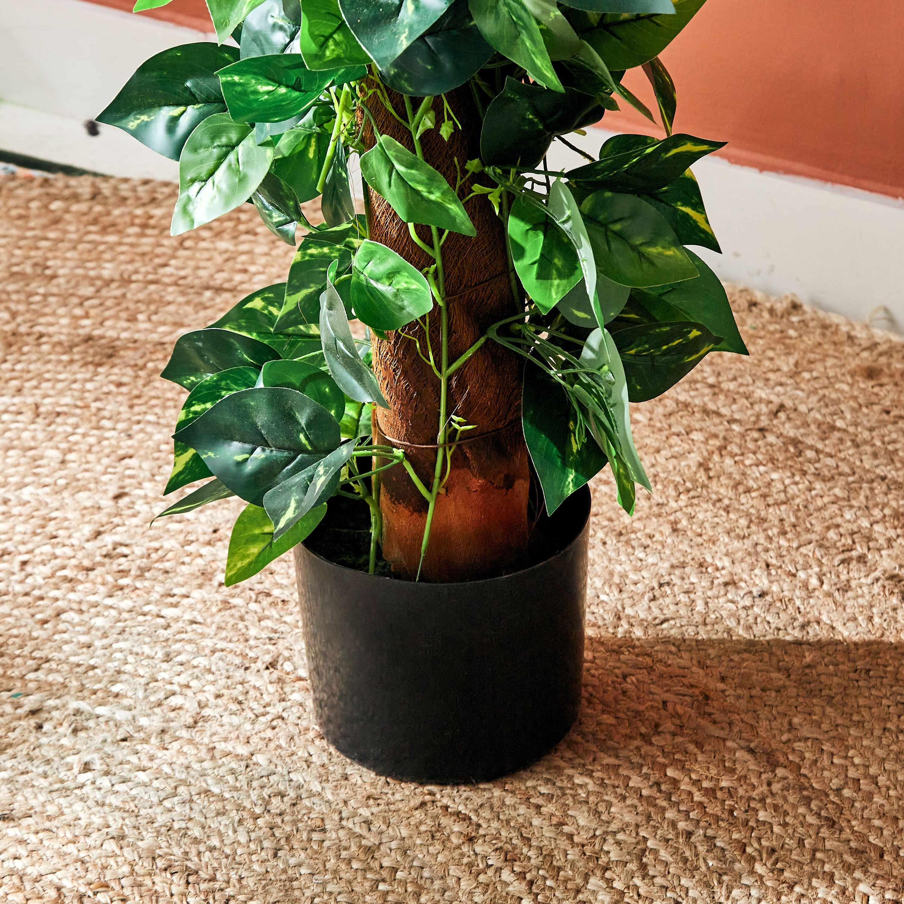 شجرة بوثوس من تيودورا - 122 سم-hbxdecorandfurnishings-homeaccessories-artificialflowersandplants-image-3